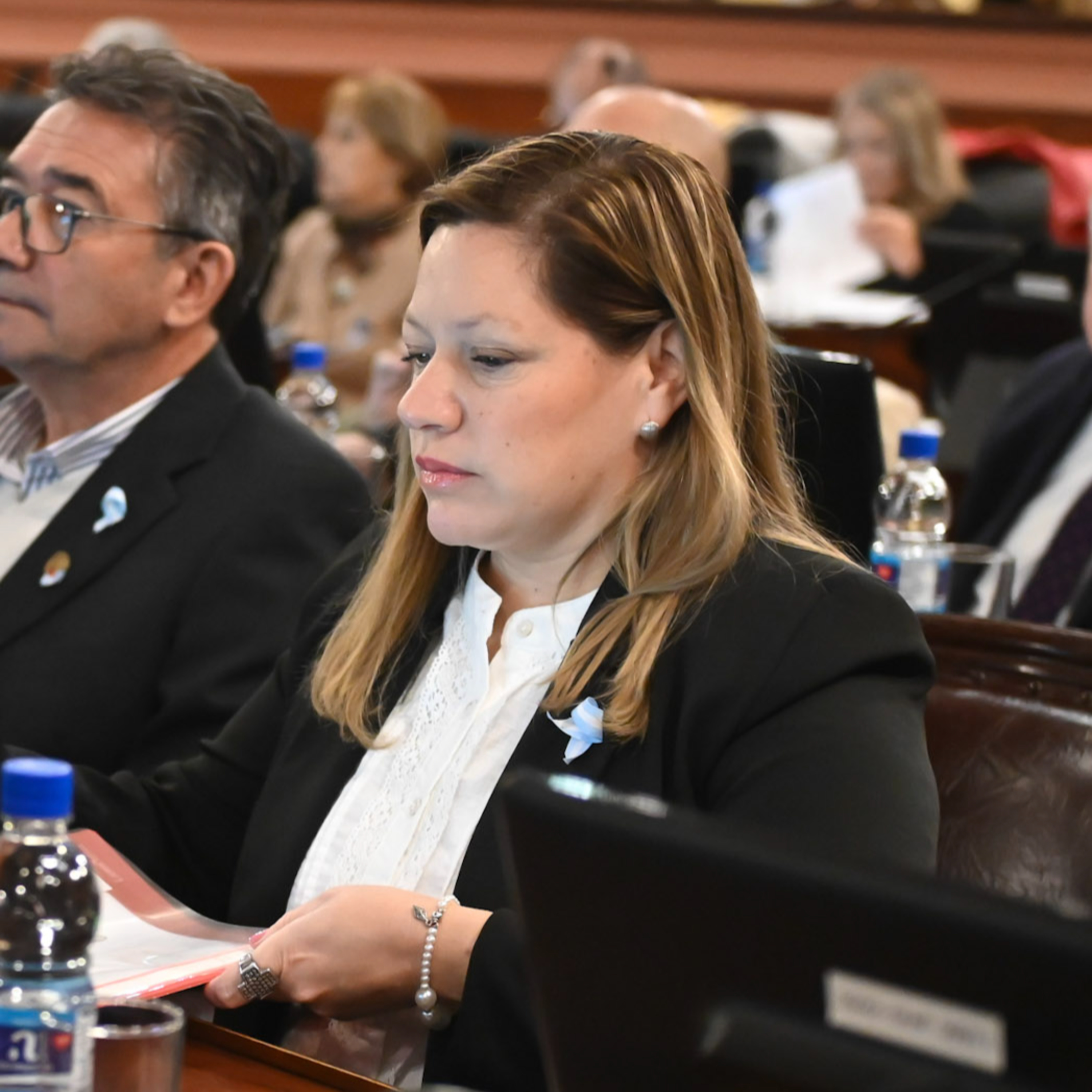La diputada Bentos distinguirá a Liliana Schredelseker por su compromiso con la comunicación comunitaria episode artwork