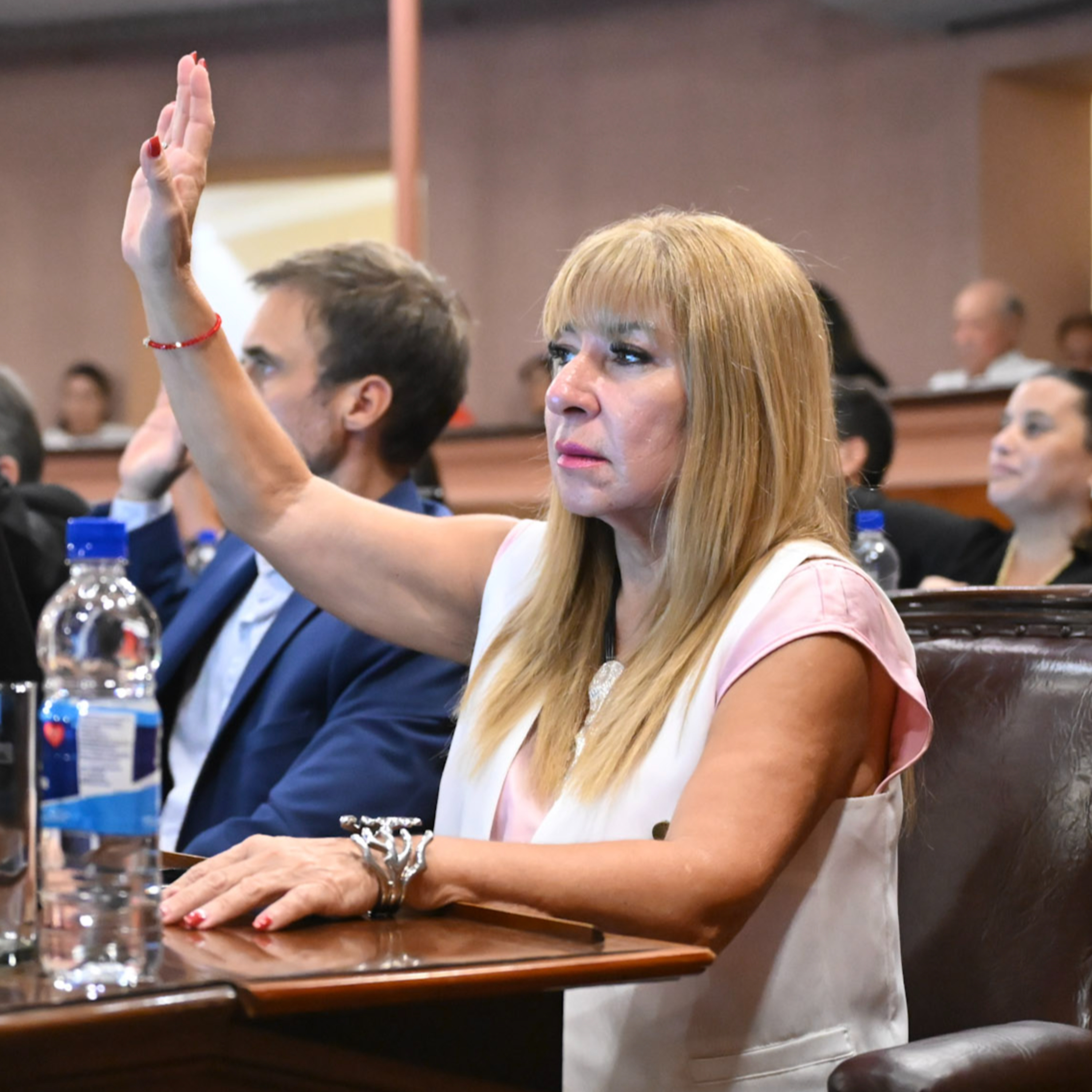 La diputada Romero impulsa la creación de un nuevo Código Rural para la provincia episode artwork