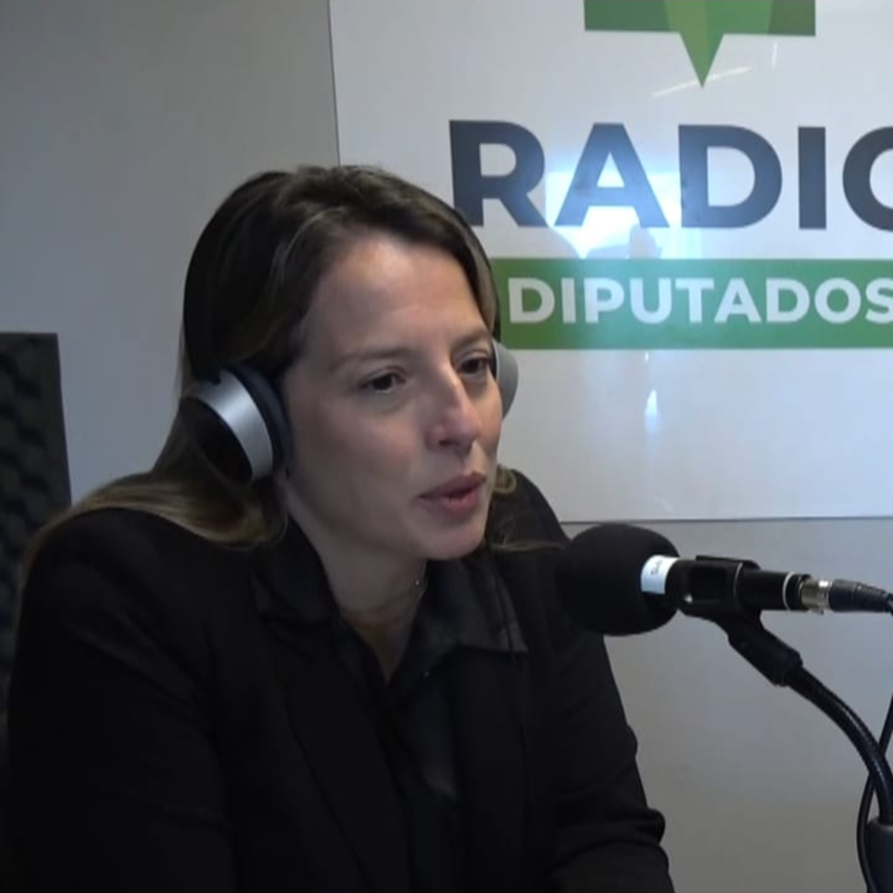 A 11 años del Ni una Menos, Diputados renueva su compromiso con la prevención de la violencia de género  episode artwork