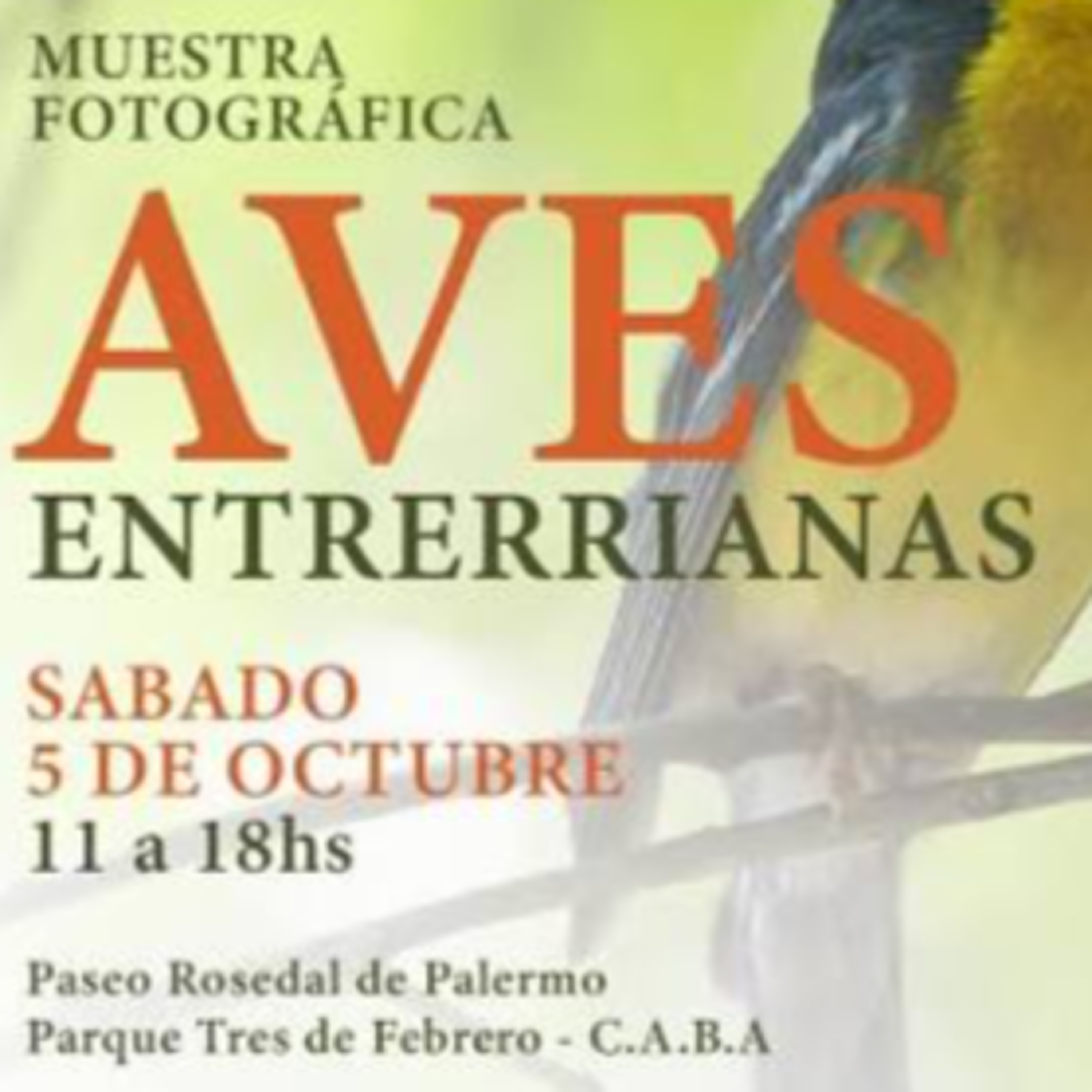 Portada de Radio Diputados