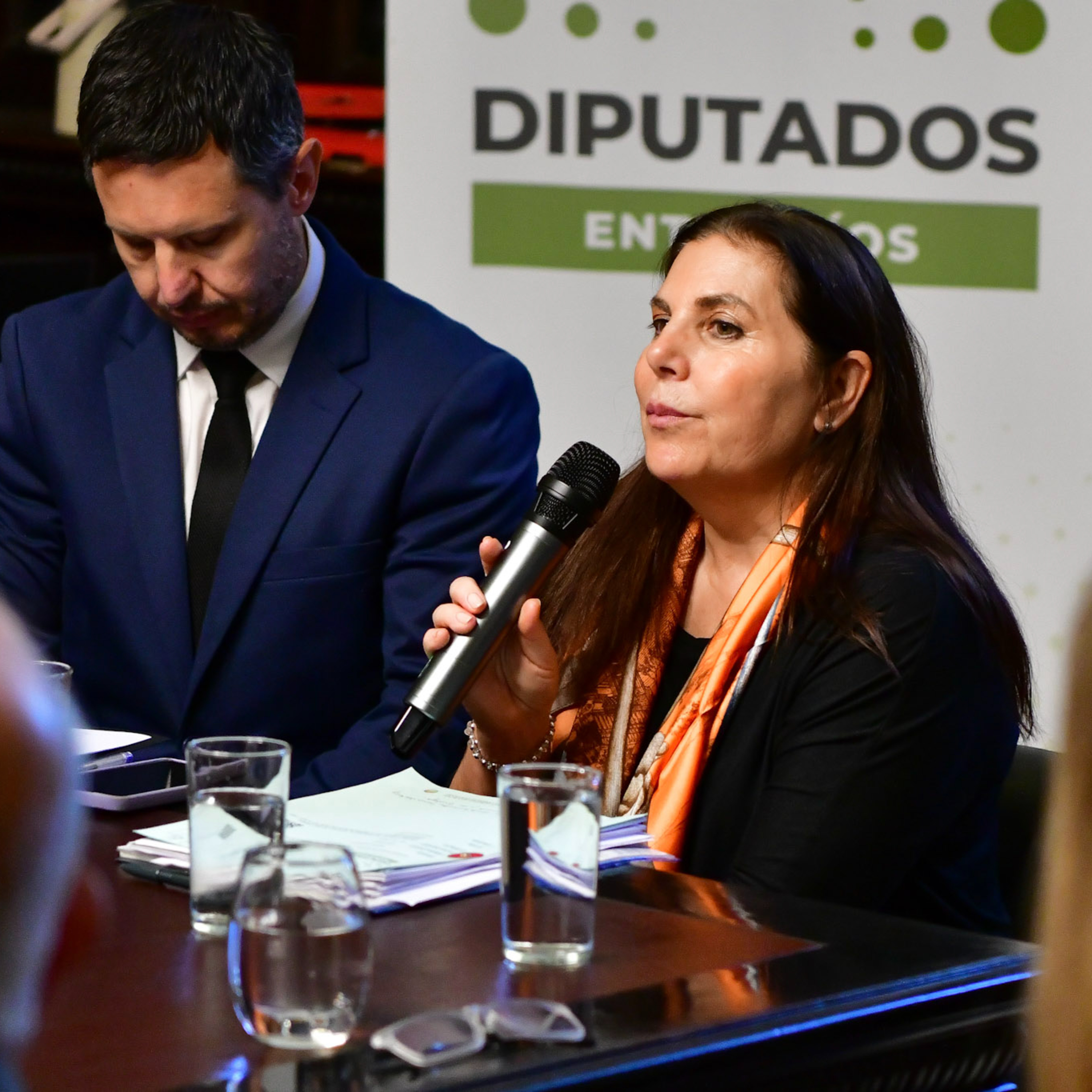 Portada de Radio Diputados