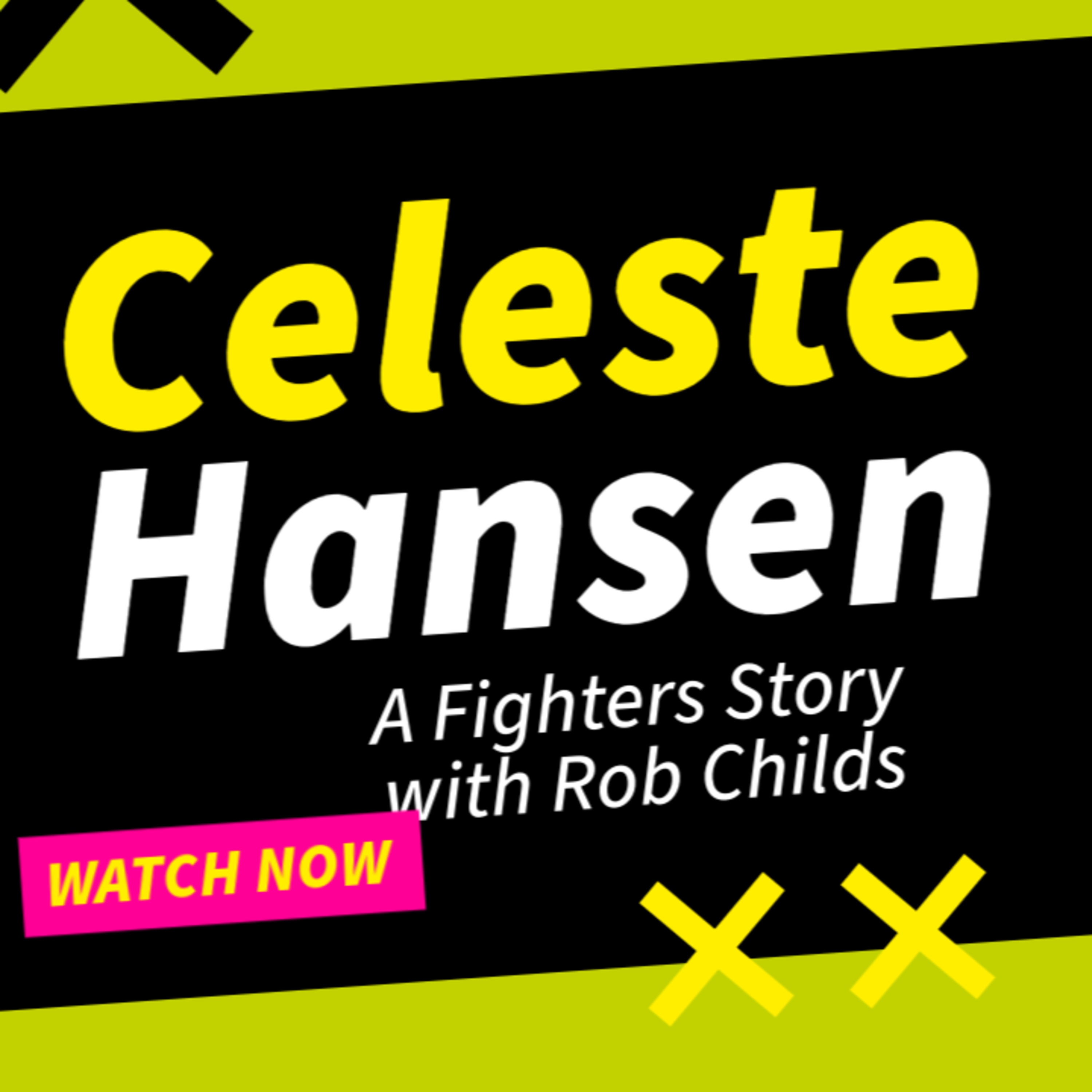 A Fighter\'s Story