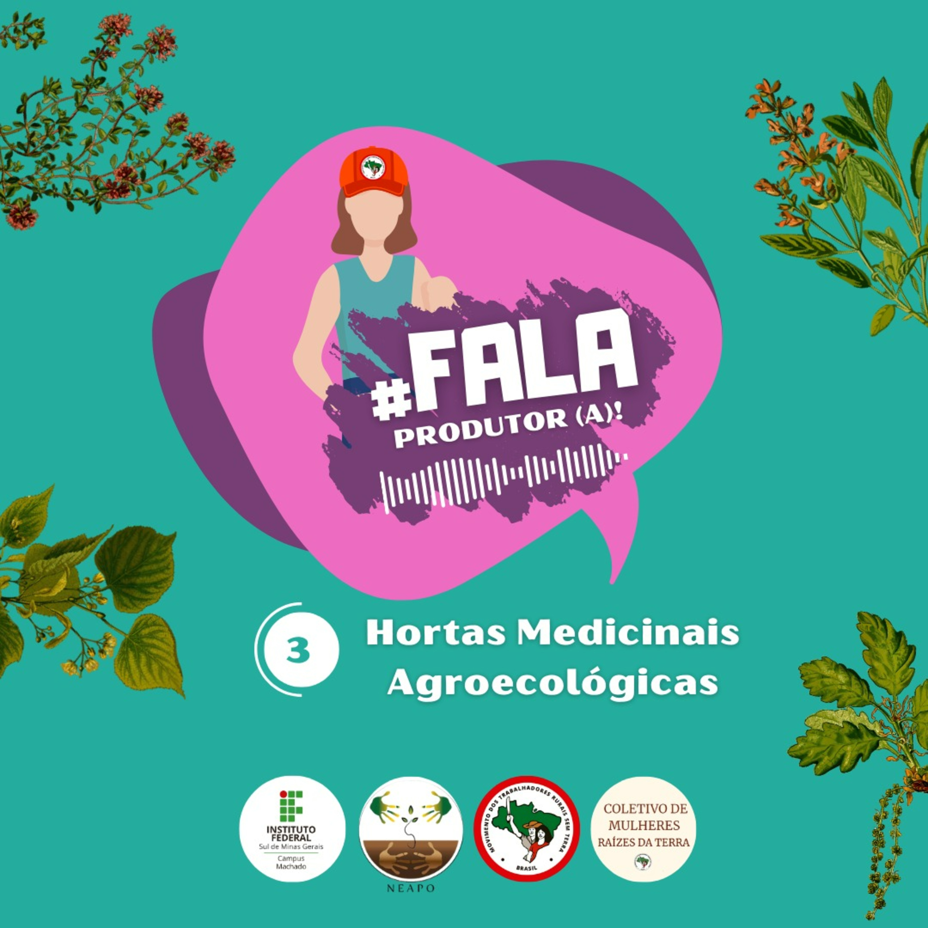 #3 Hortas Medicinais Agroecológicas