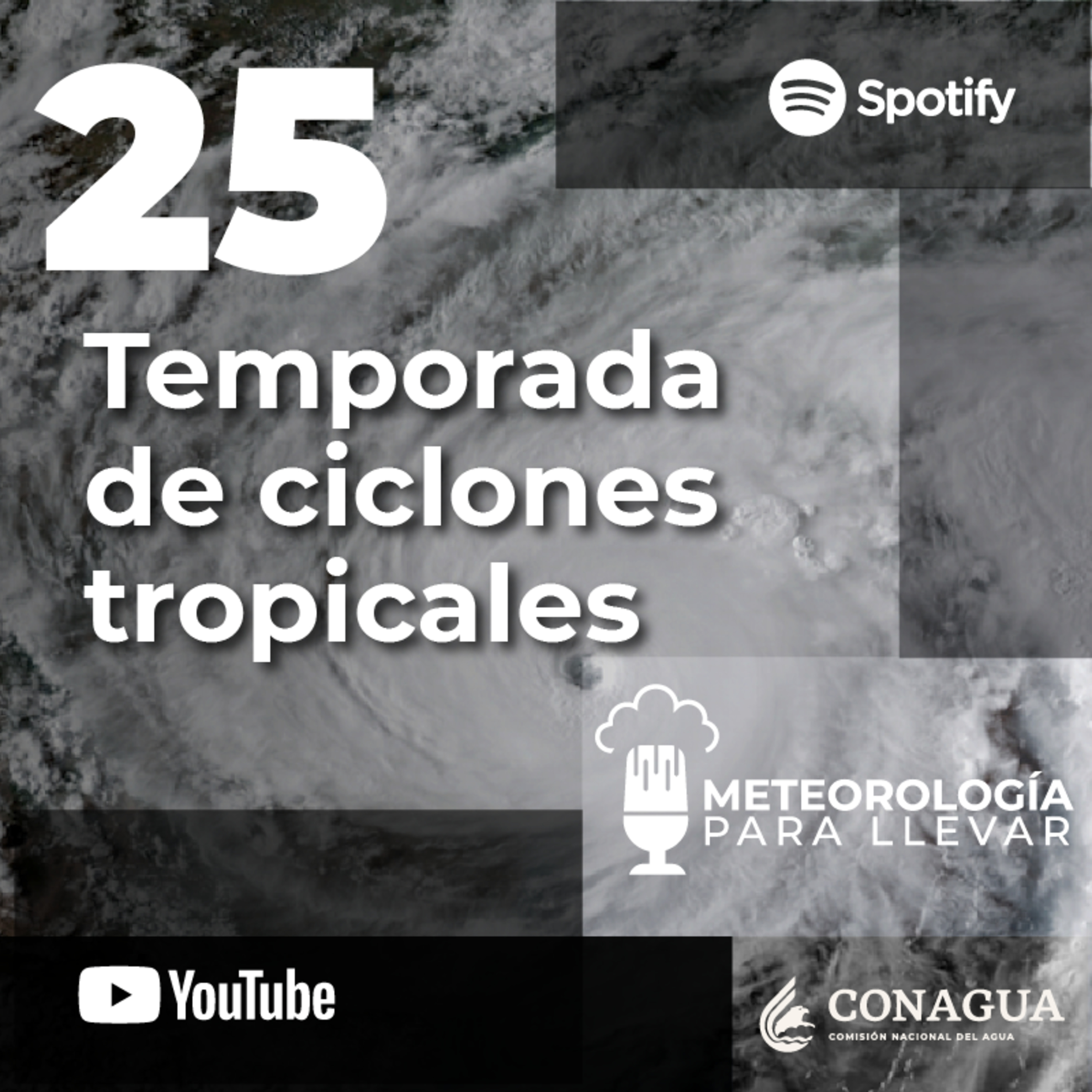 Meteorología para llevar