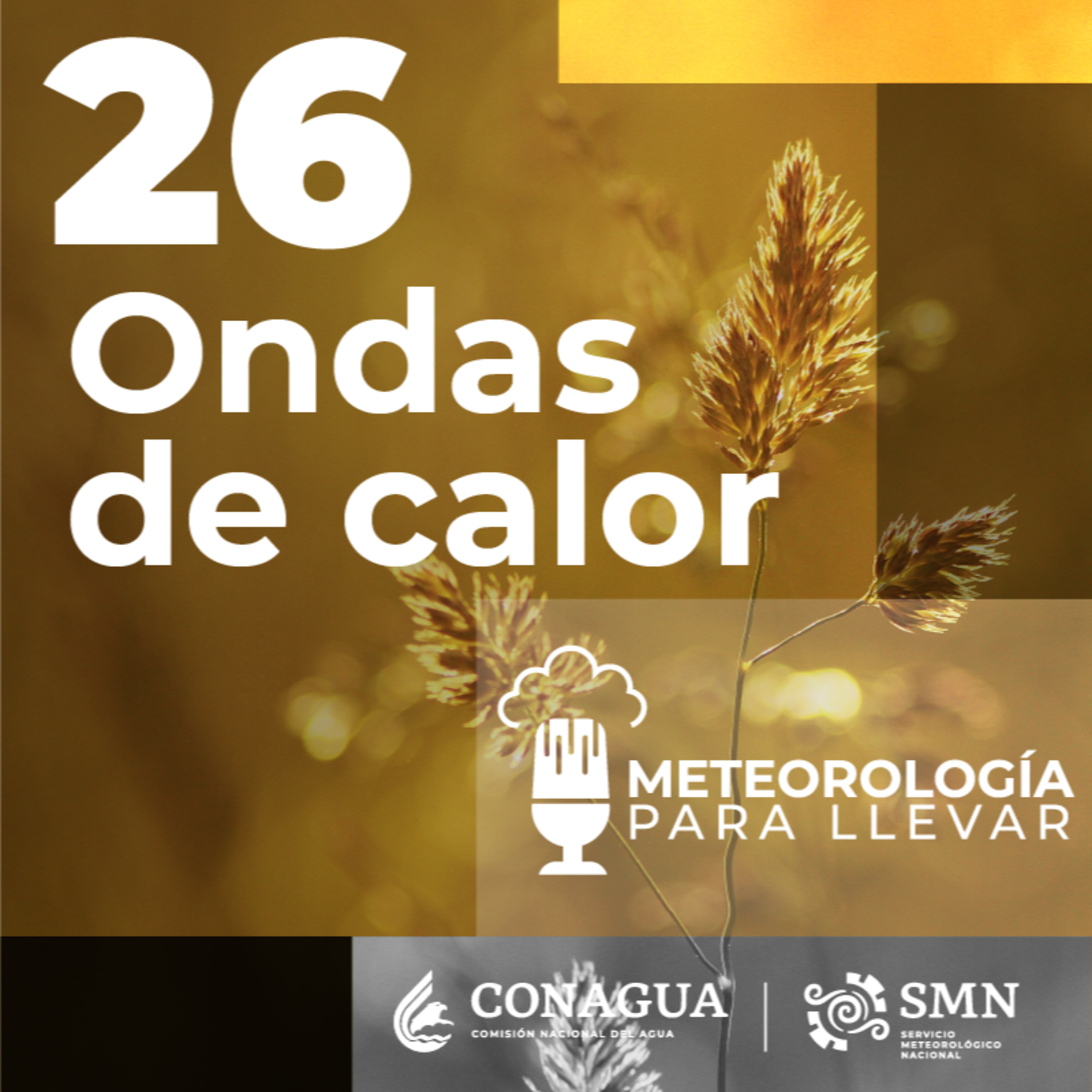 Meteorología para llevar