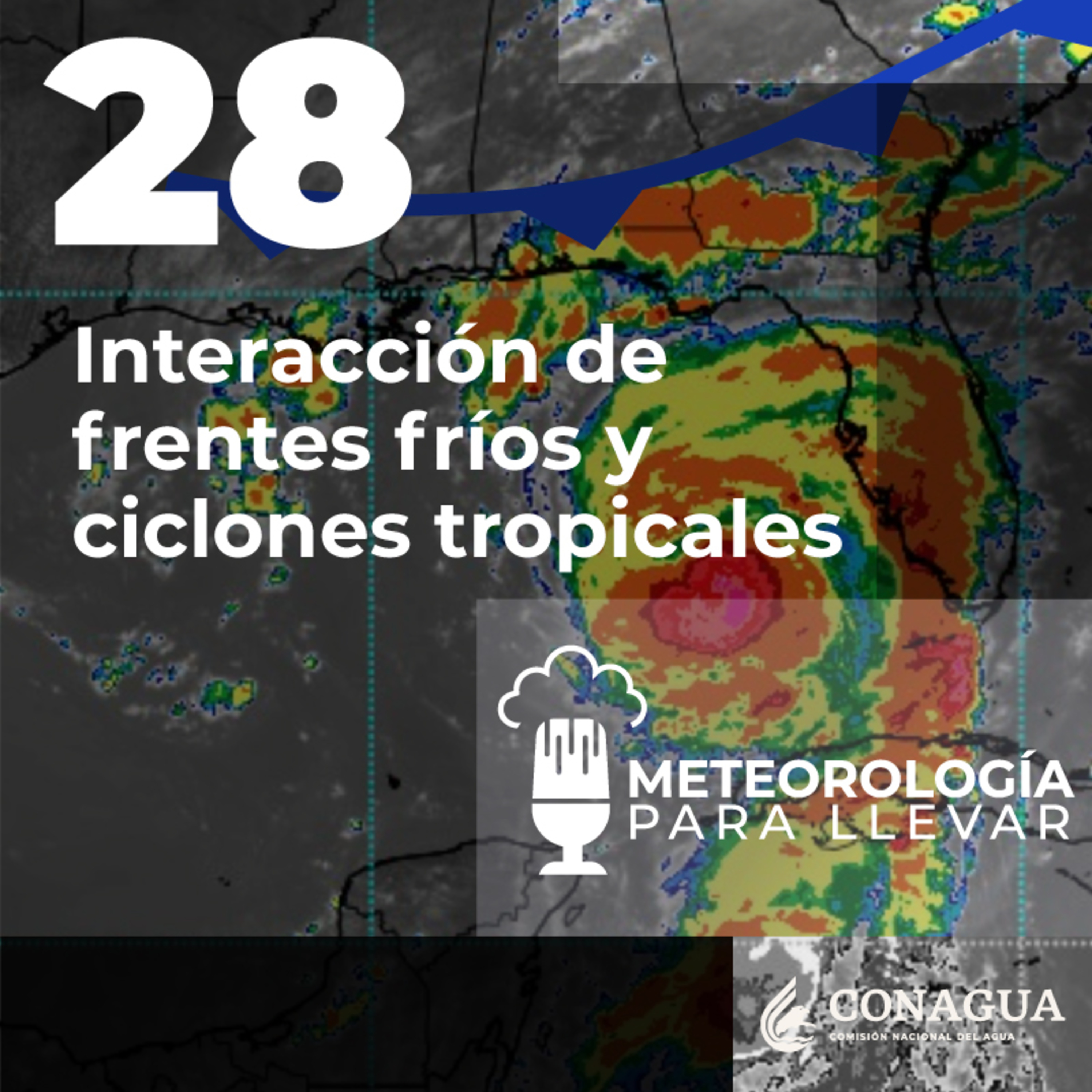 Meteorología para llevar