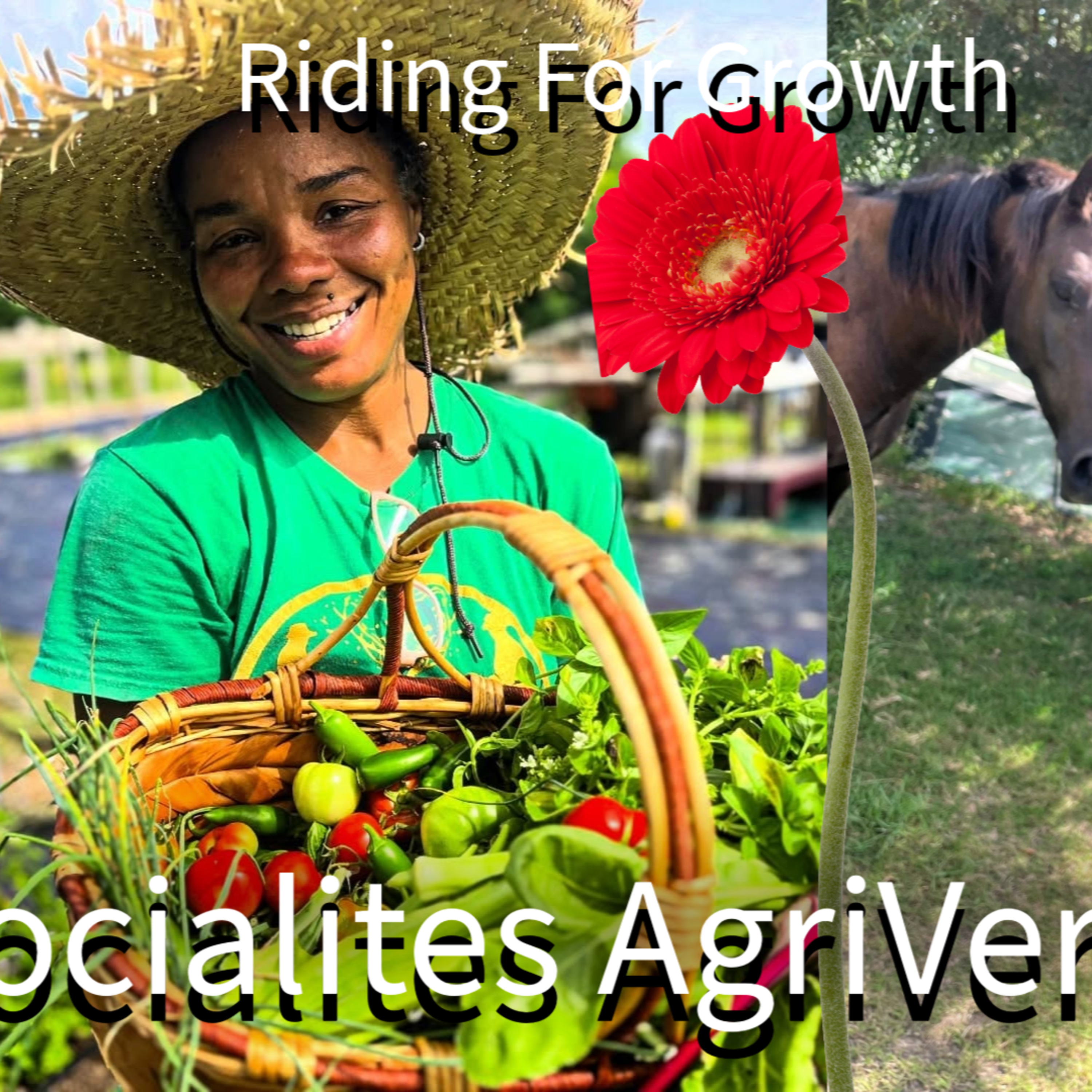 Unconventional Journalist