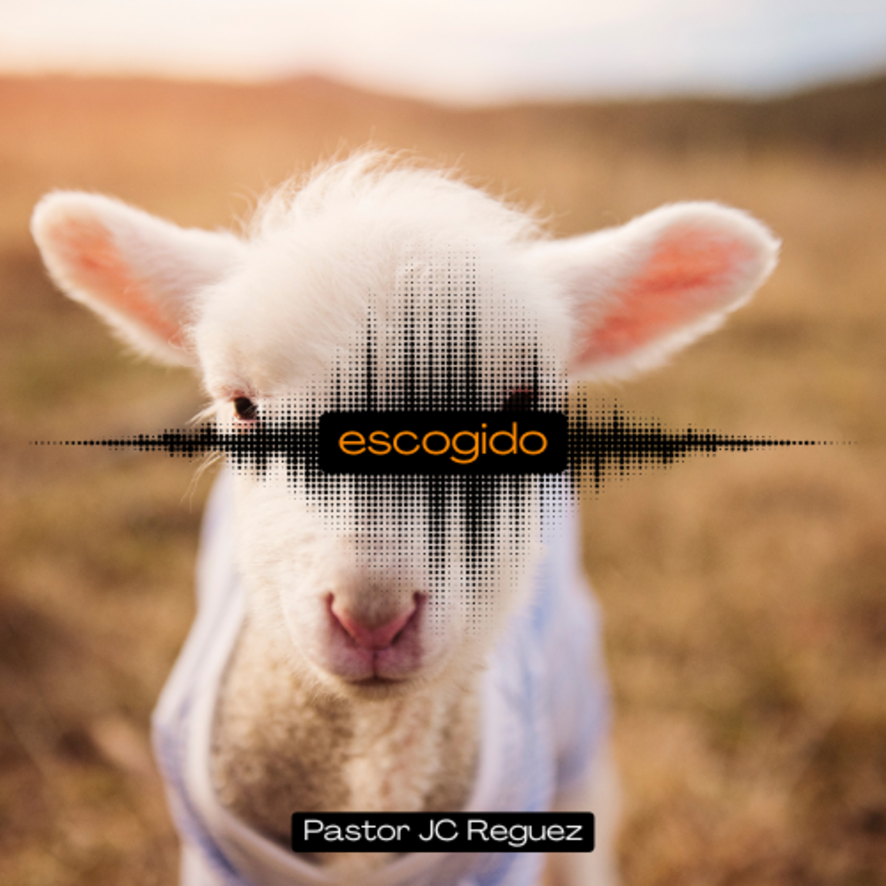Escogidos episode artwork