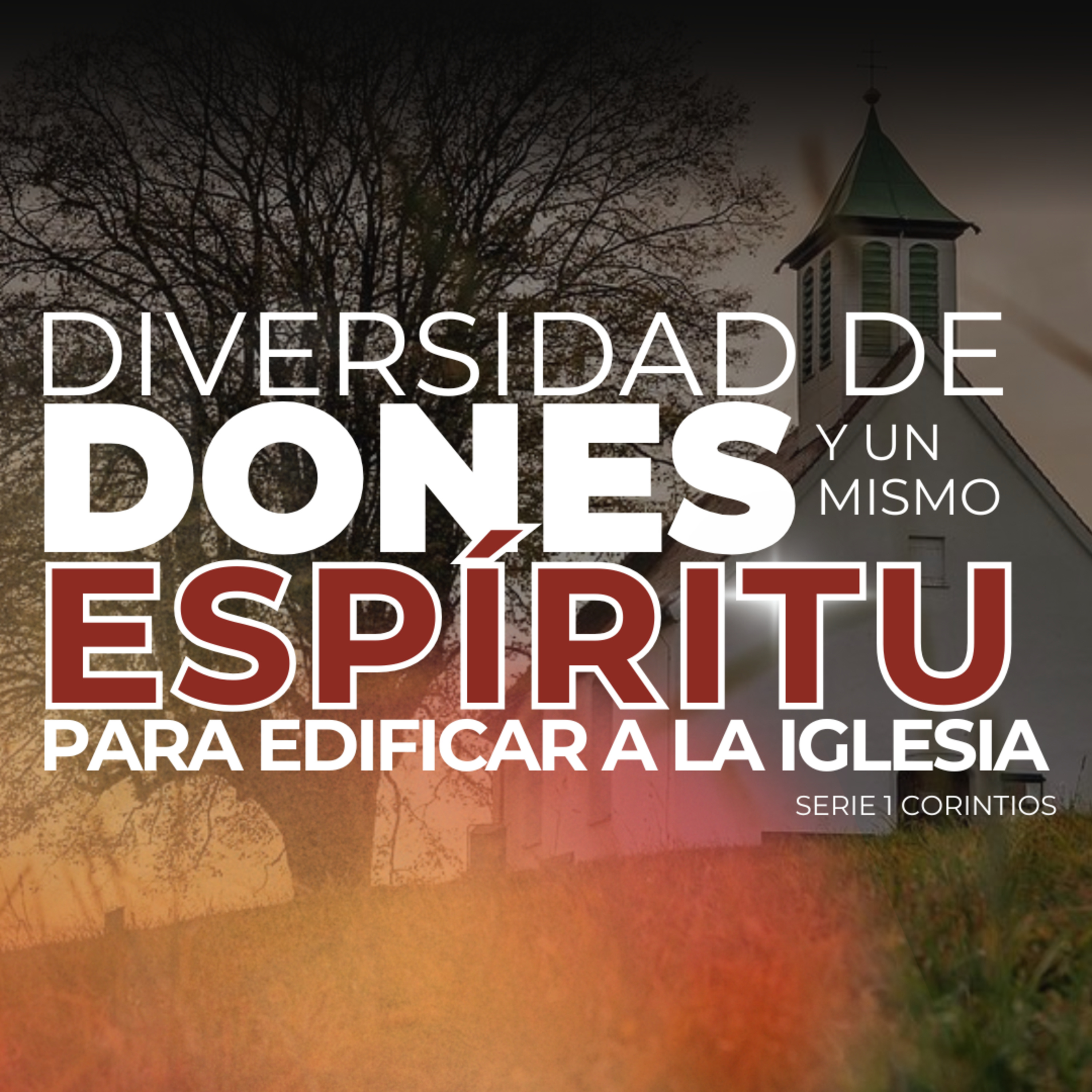 Diversidad de dones y un mismo Espíritu para edificar a la iglesia