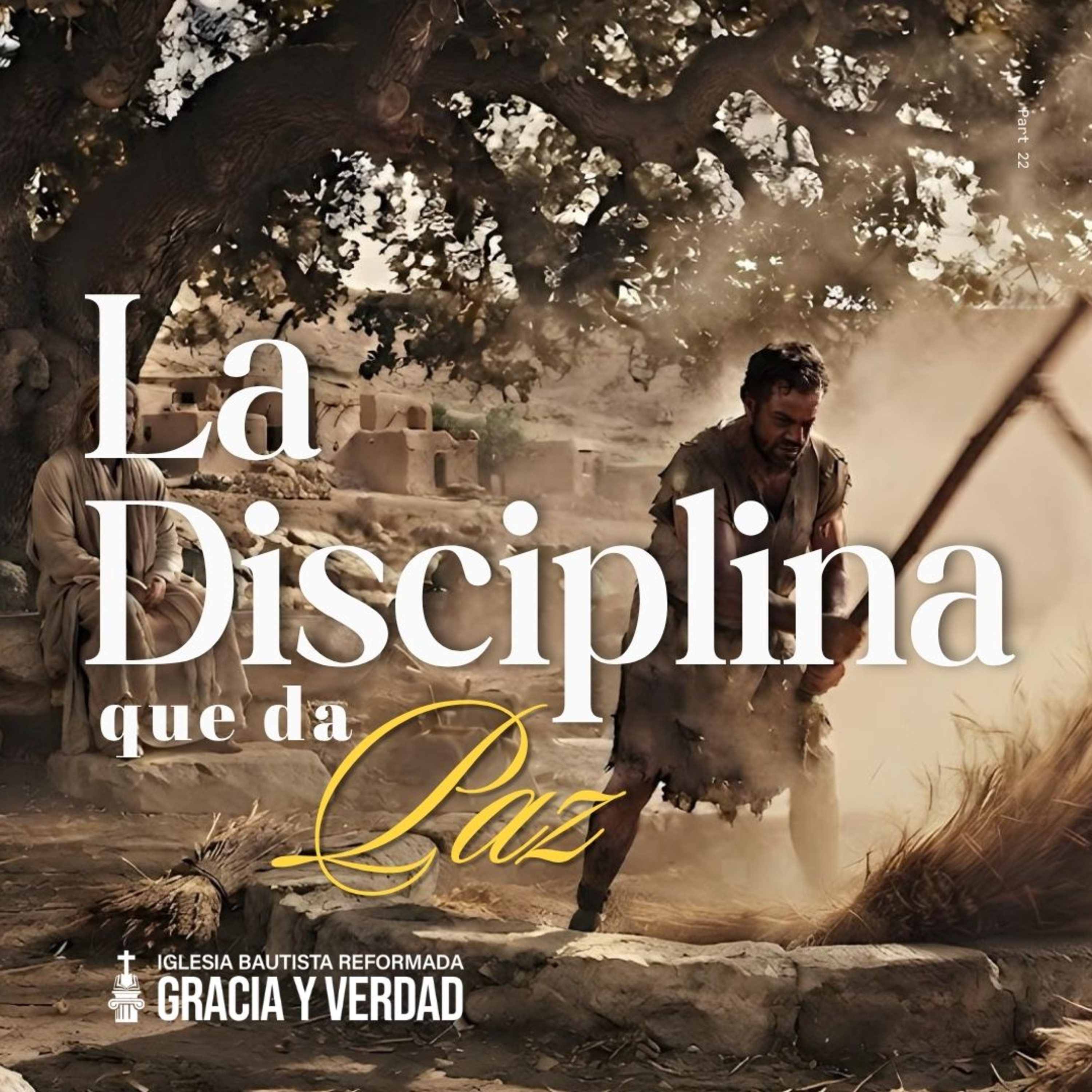 La disciplina que da paz