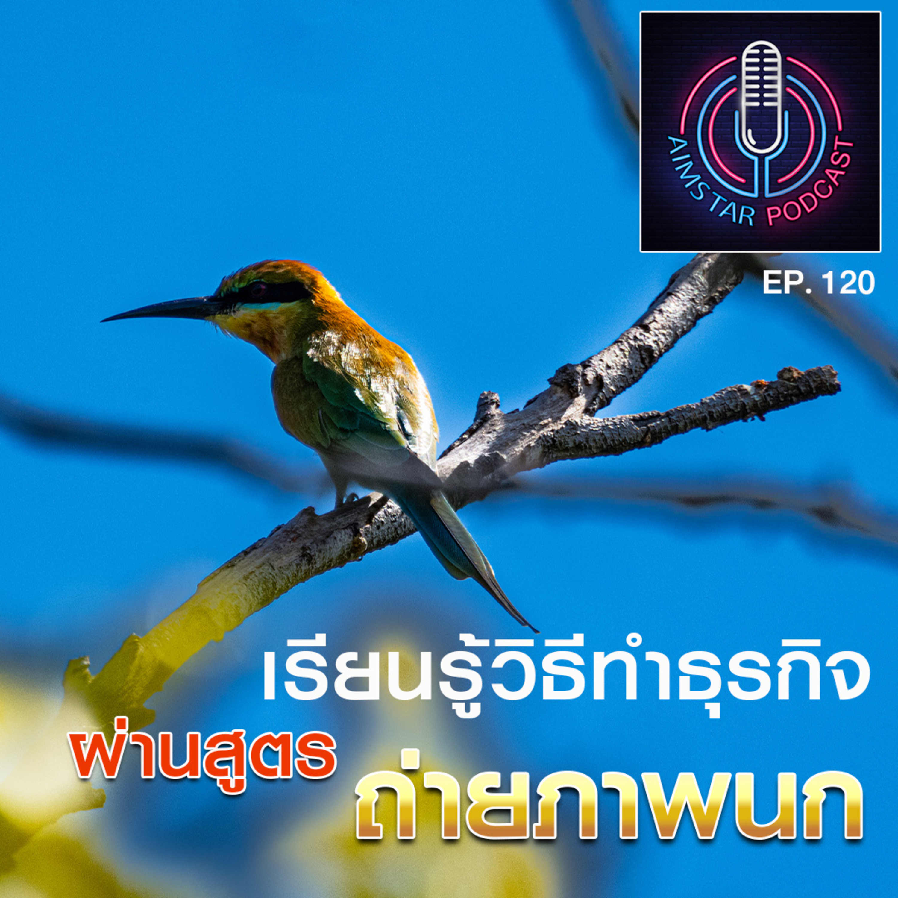 เรียนรู้วิธีทำธุรกิจ ผ่านสูตรถ่ายภาพนก (EP. 120) episode artwork