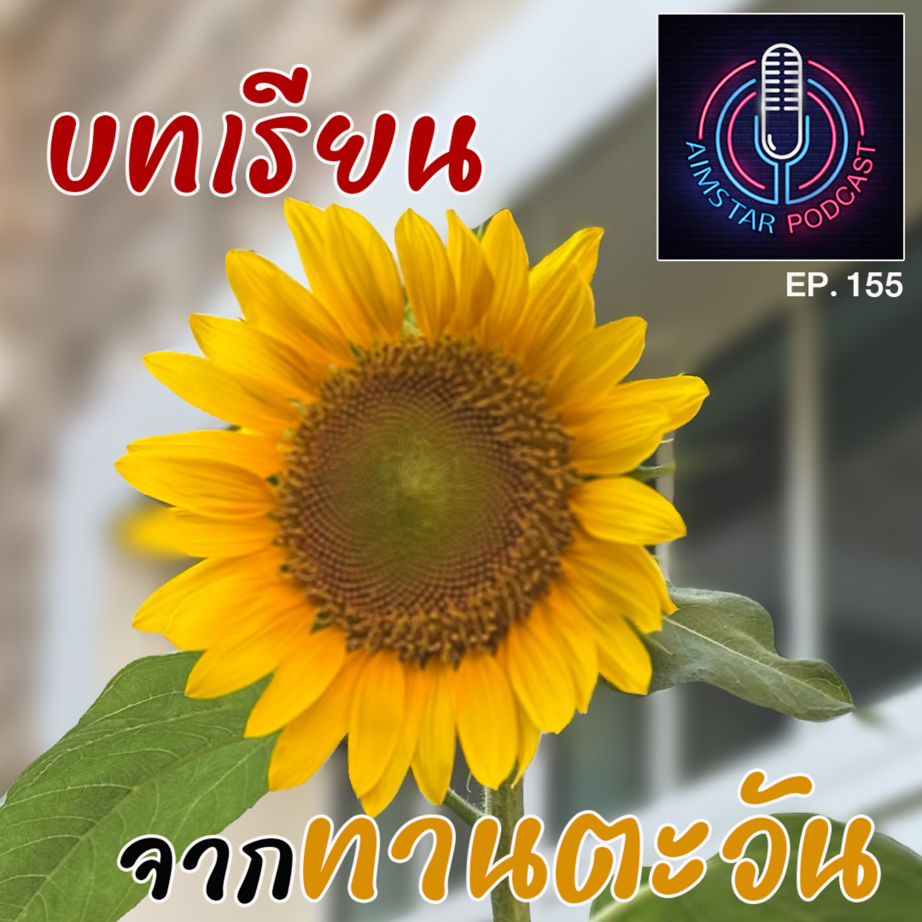 บทเรียนจากทานตะวัน (EP. 155) episode artwork