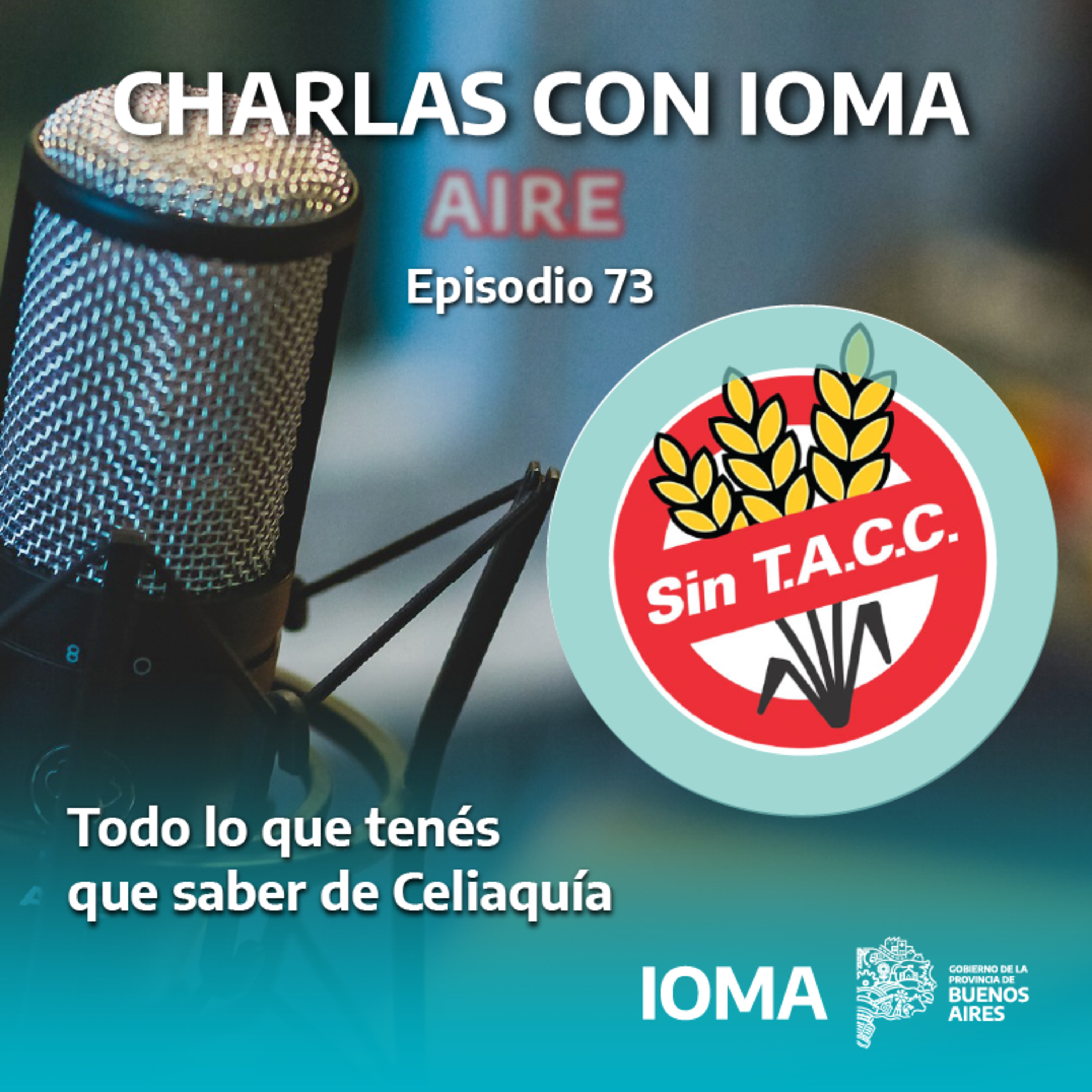 Charlas con IOMA