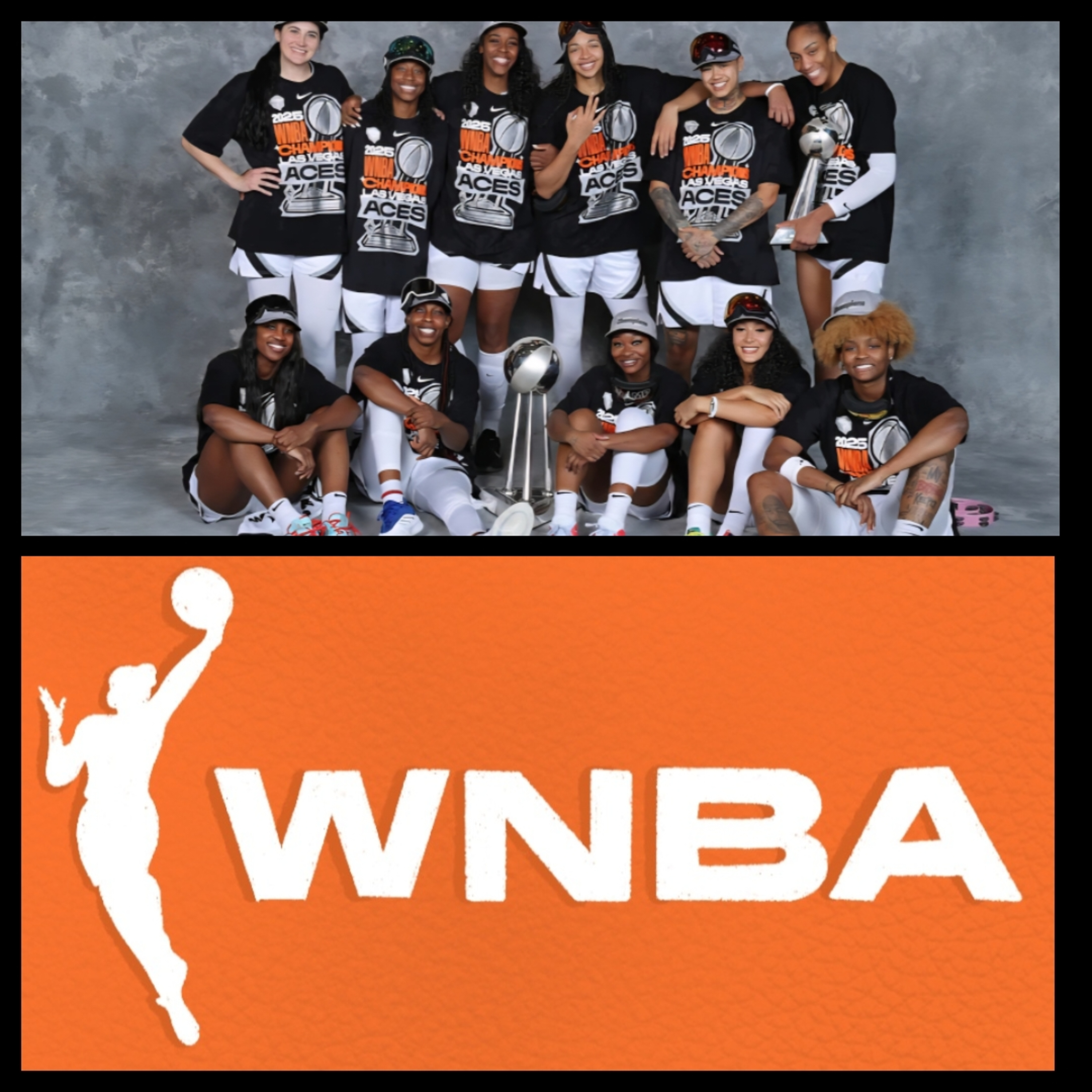2025 WNBA Finals Review