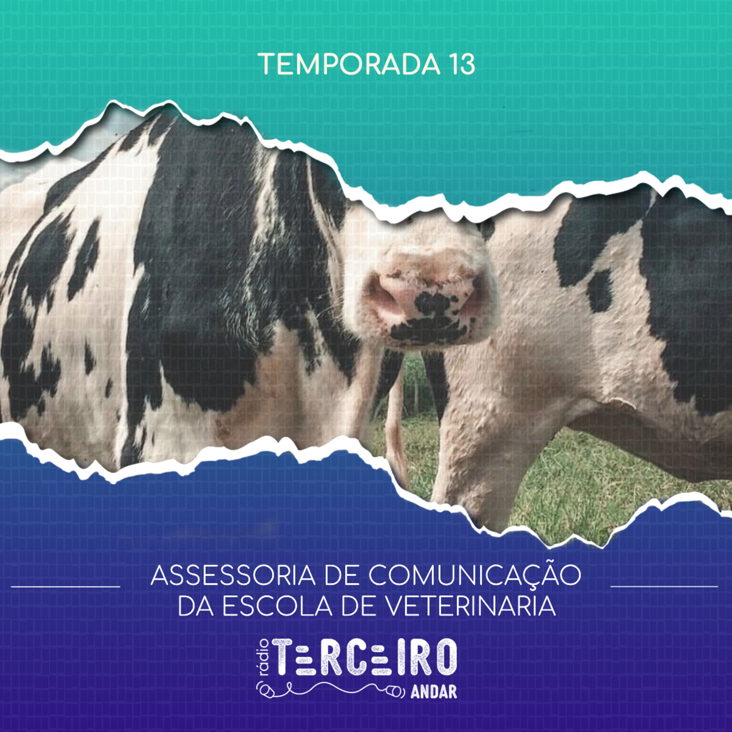 [Pílulas de Extensão] Assessoria de Comunicação da Escola de Veterinária - 13ª Temporada episode artwork