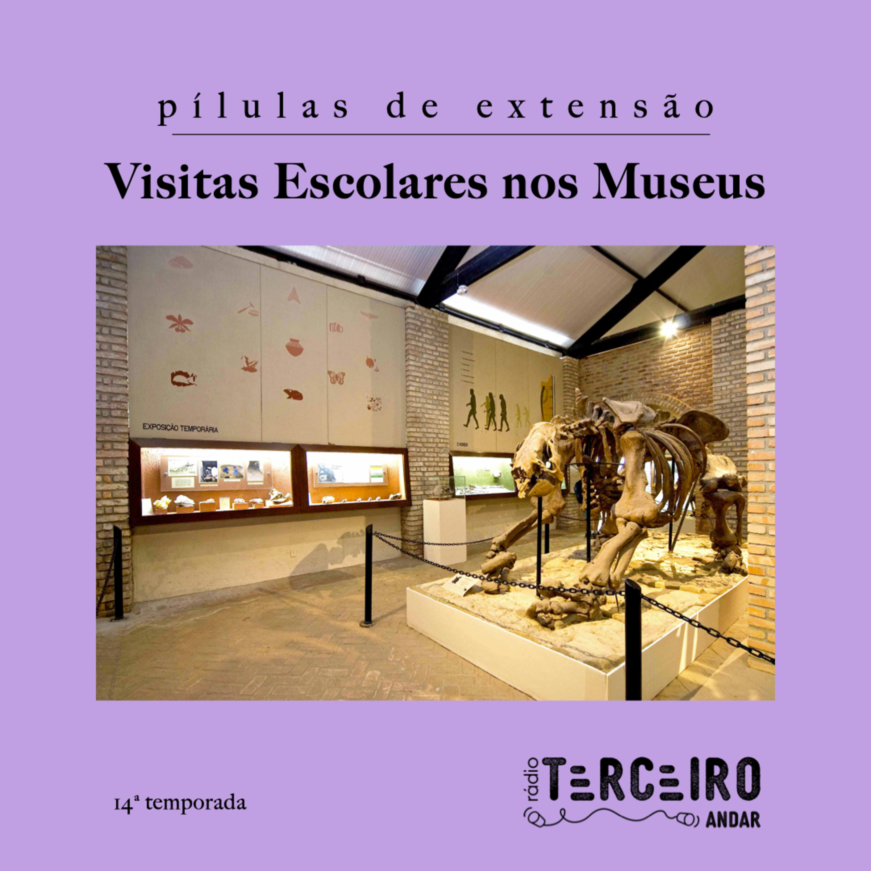 [Pílulas de extensão] Visitas Escolares nos Museus - 14ª Temporada episode artwork