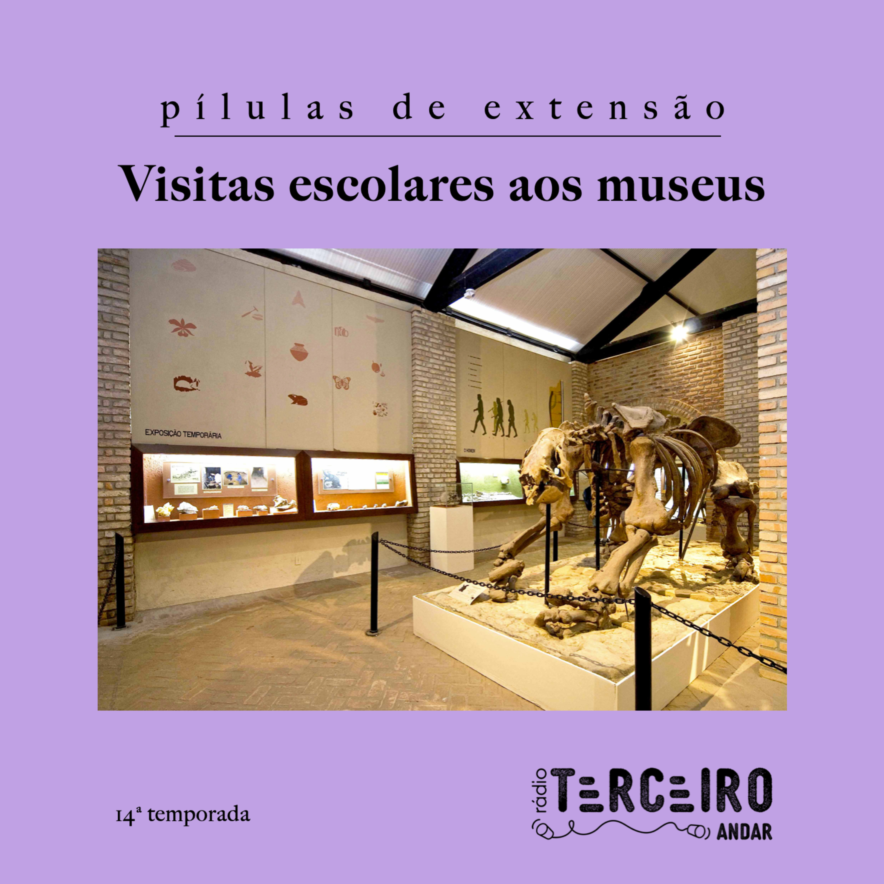 [Pílulas de extensão] Visitas escolares aos museus - 14ª Temporada