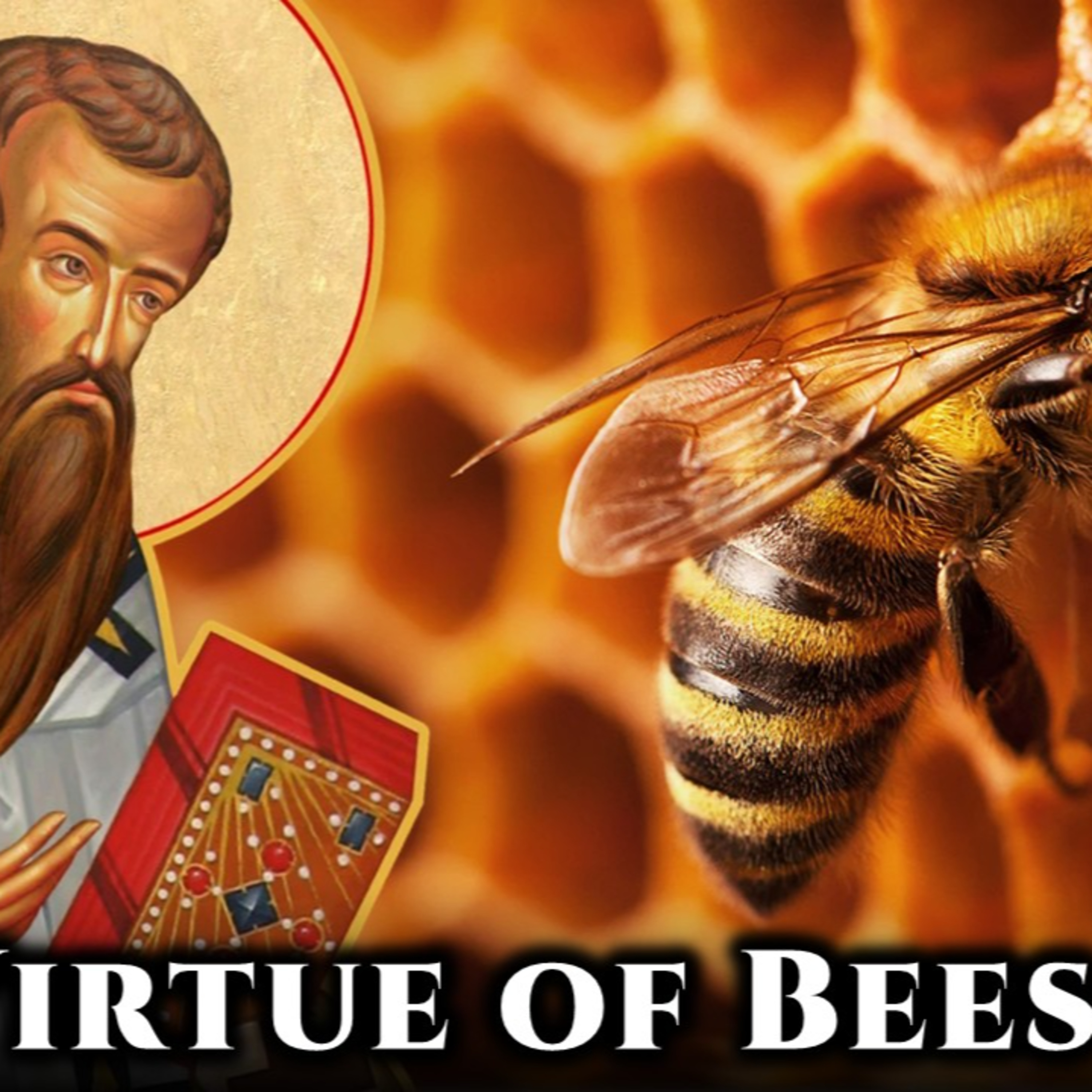 The Virtue of Bees - St. Basil the Great