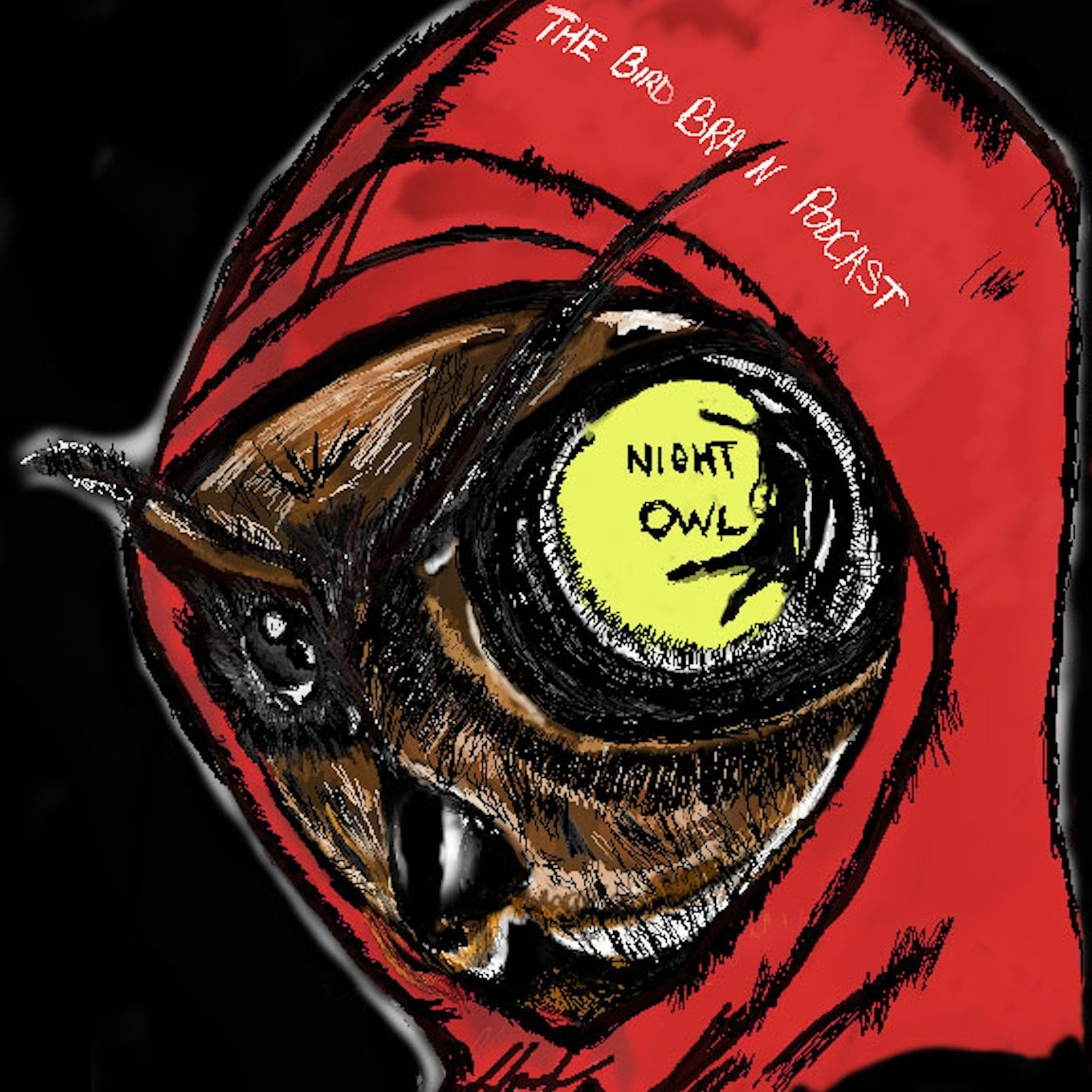 The Bird Brain Podcast