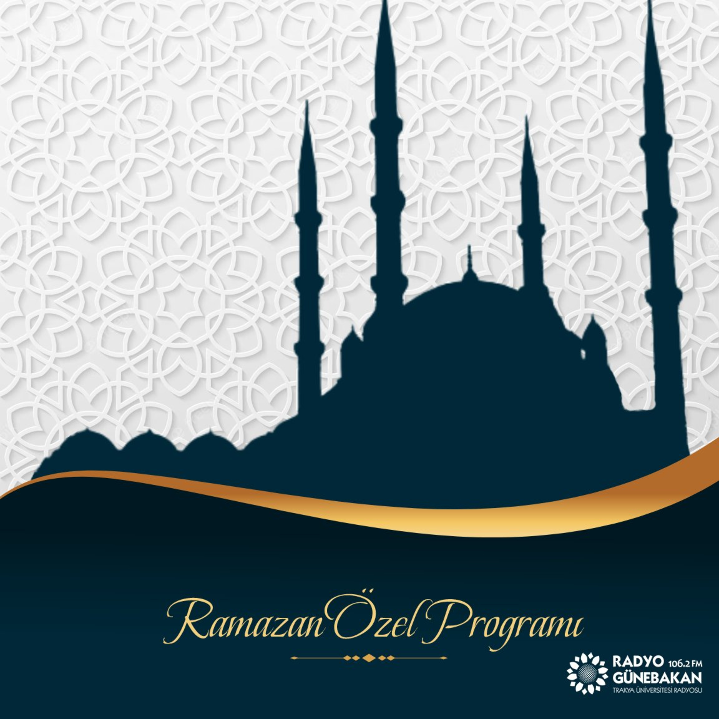 Ramazan Özel - Bölüm 2 "Doç. Dr. Halim IŞIK" episode artwork