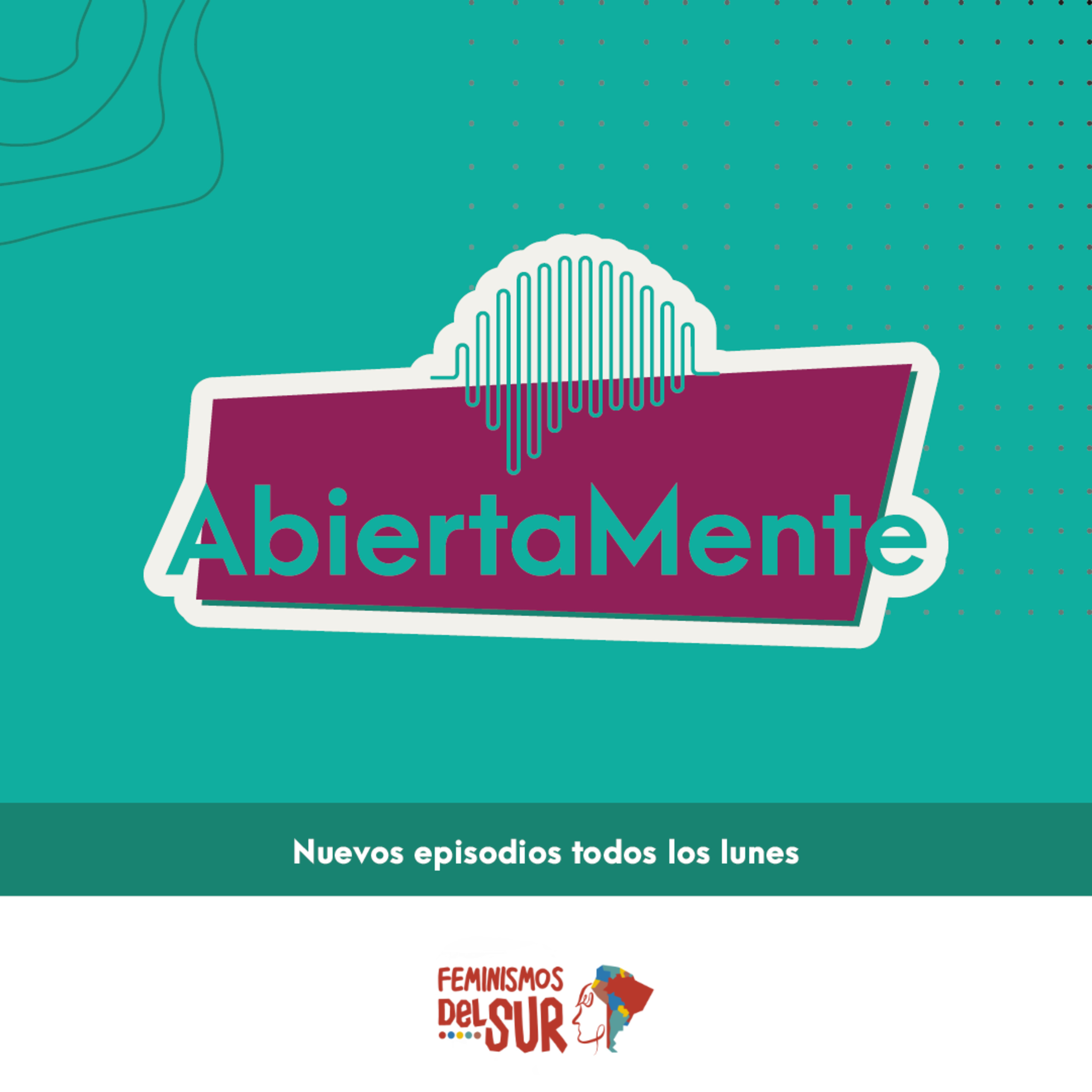 Feminismos del Sur