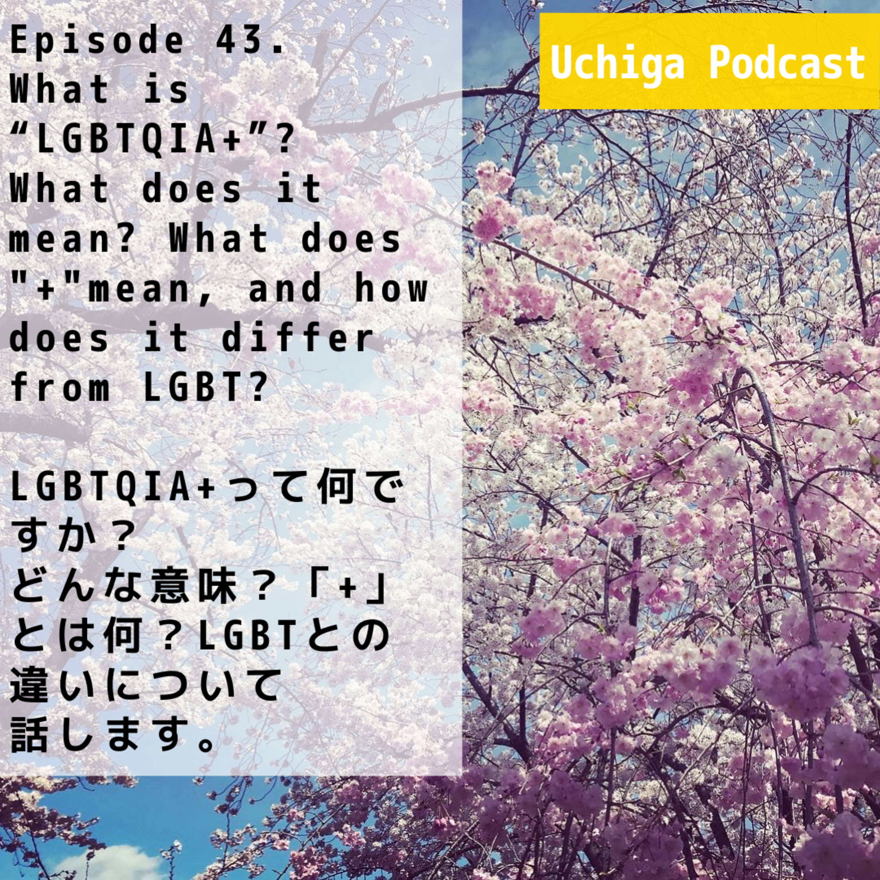 Interesting Japanese Not Taught In SchoolsAbout Japanese business culture, Japanese habits & Osaka