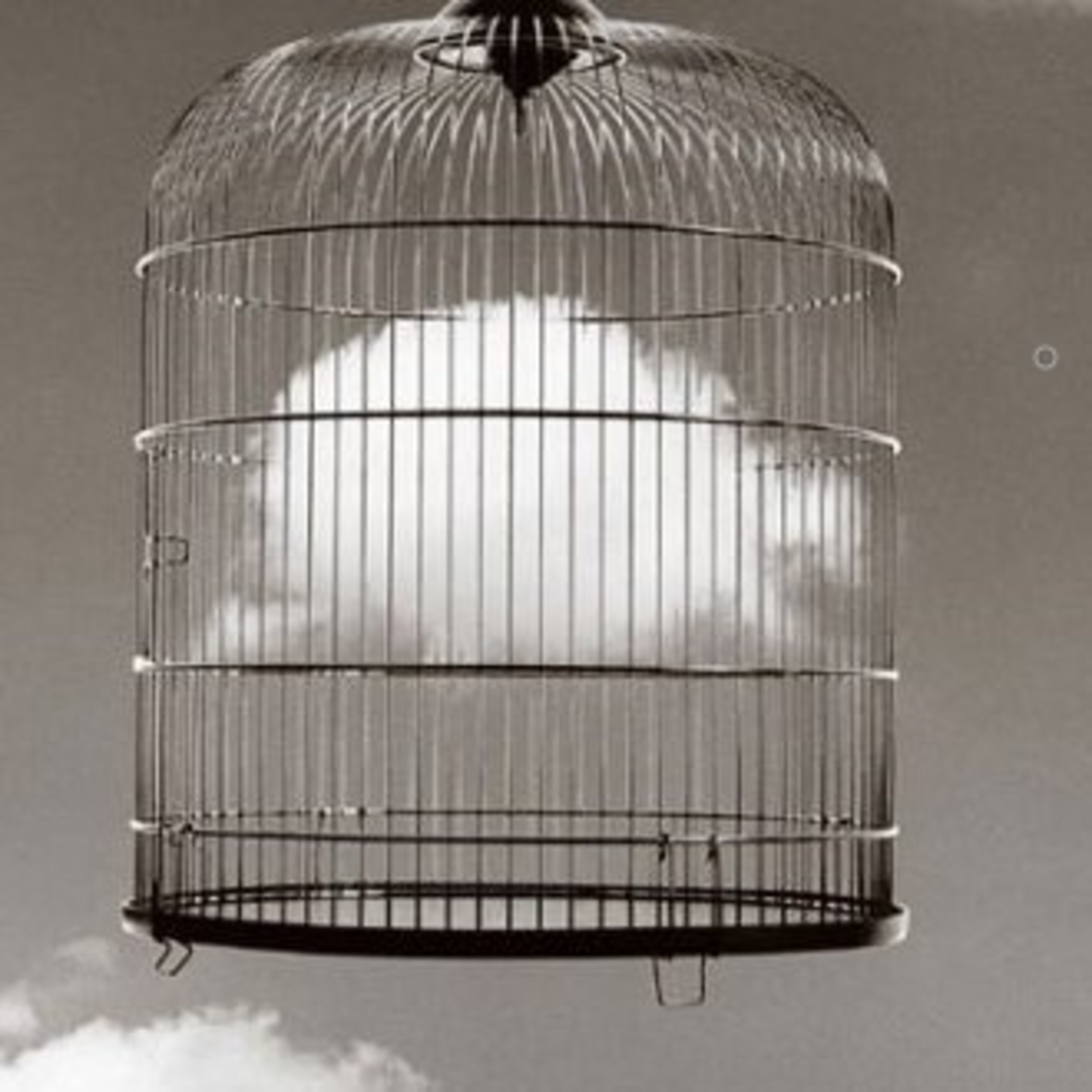 کاور The Cage - قفس