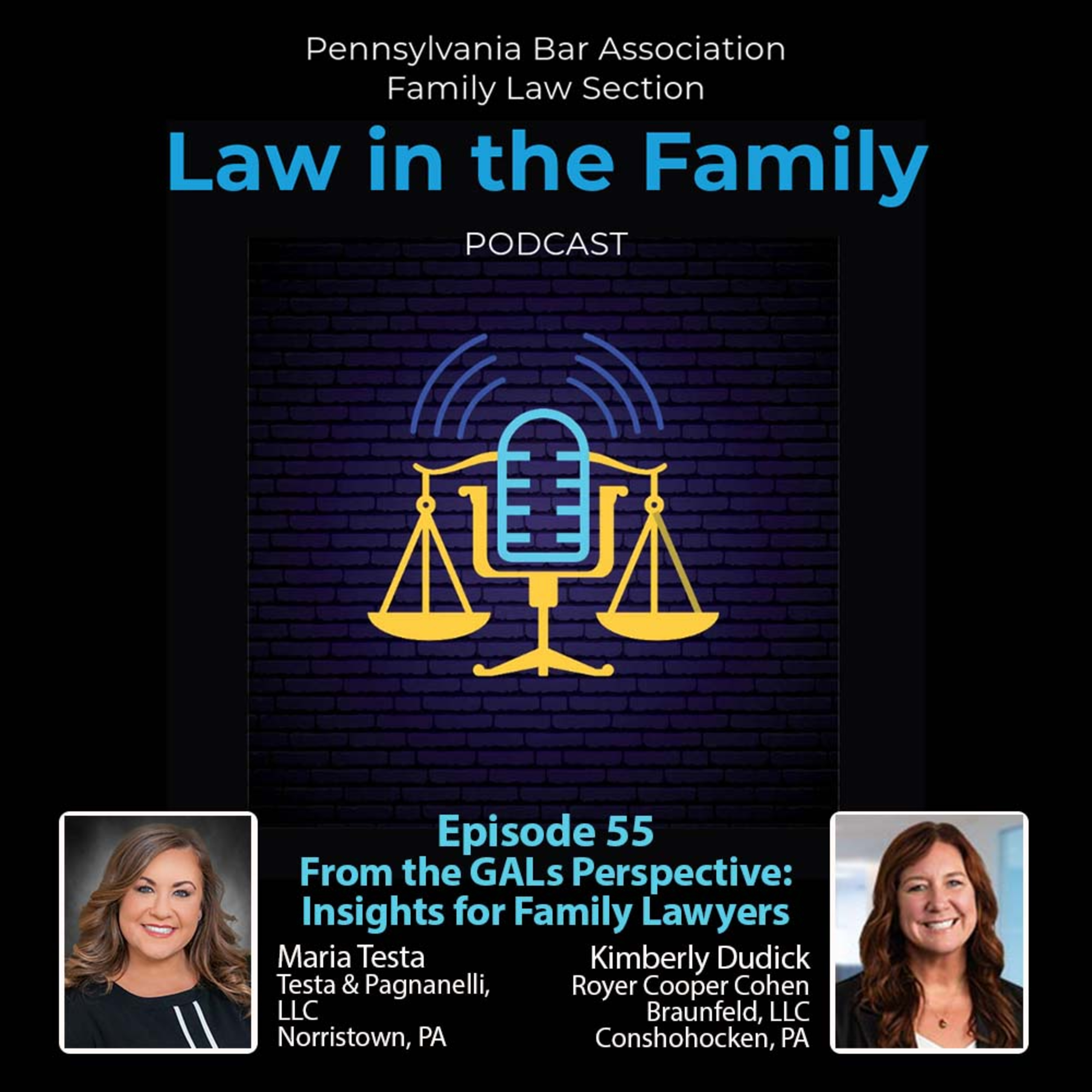 Episode 55 - From the GALs Perspective: Insights for Family Lawyers | Maria Testa and Kimberly Dudick