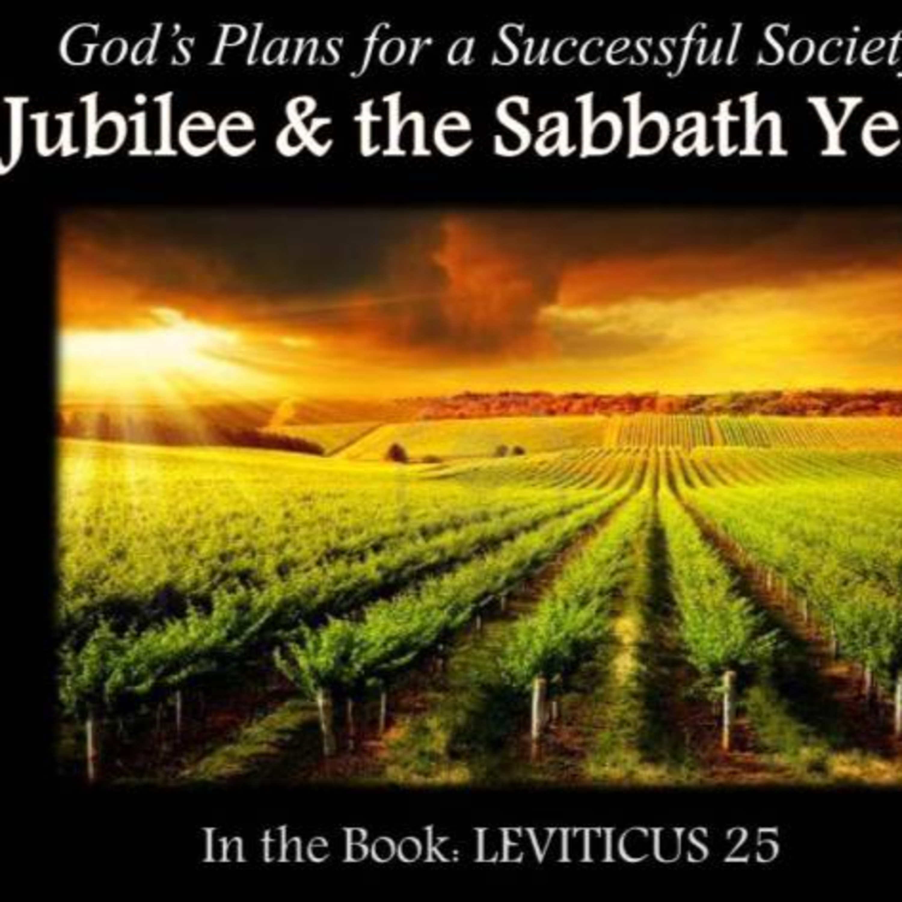 Sermon Series 124 Jubilee Serving Faith & Mercy episode artwork