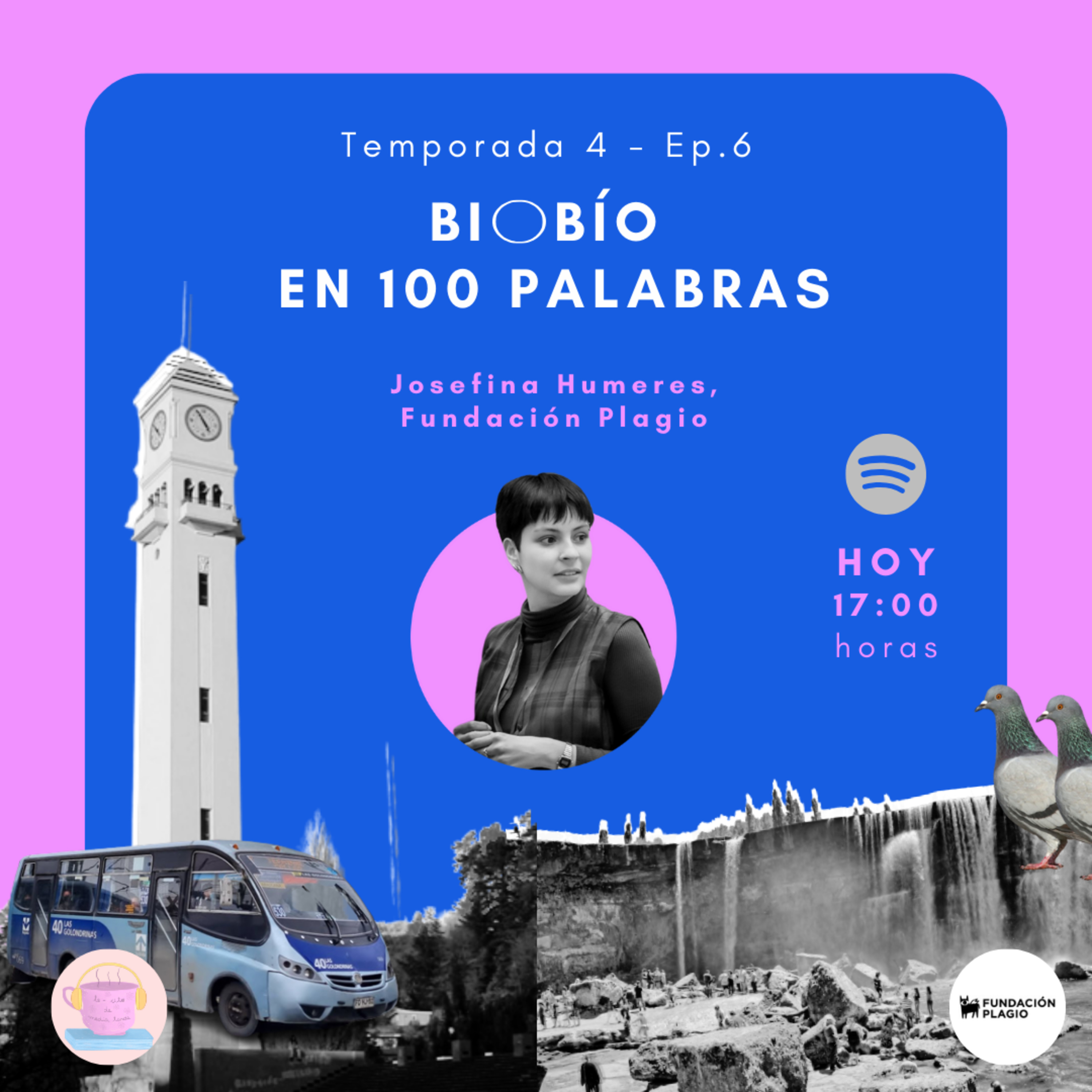 Te-cito de media tarde
