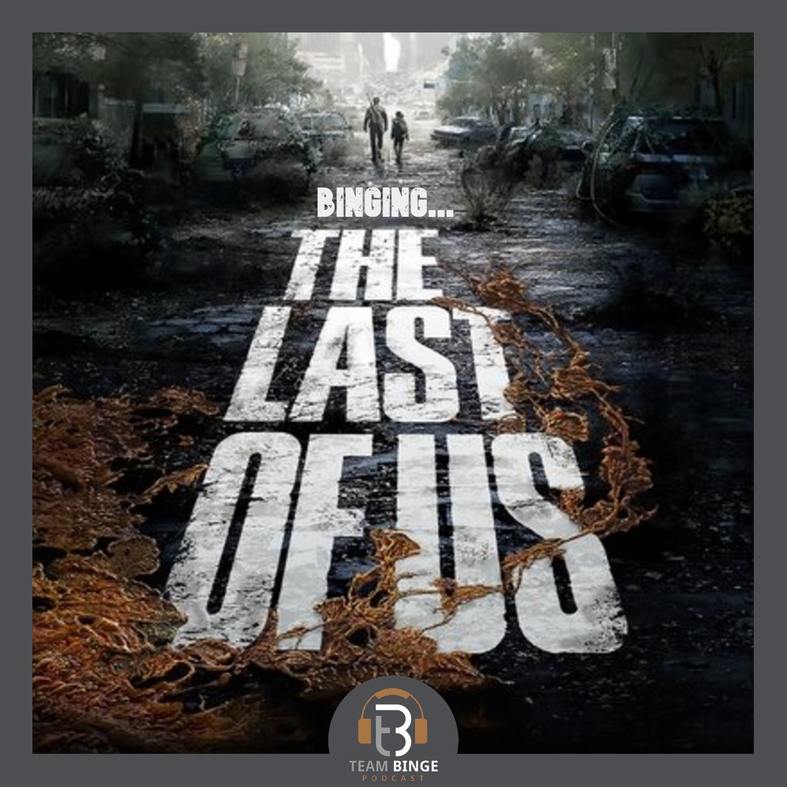 The Last of Us: Season 1, Ep 9 episode artwork