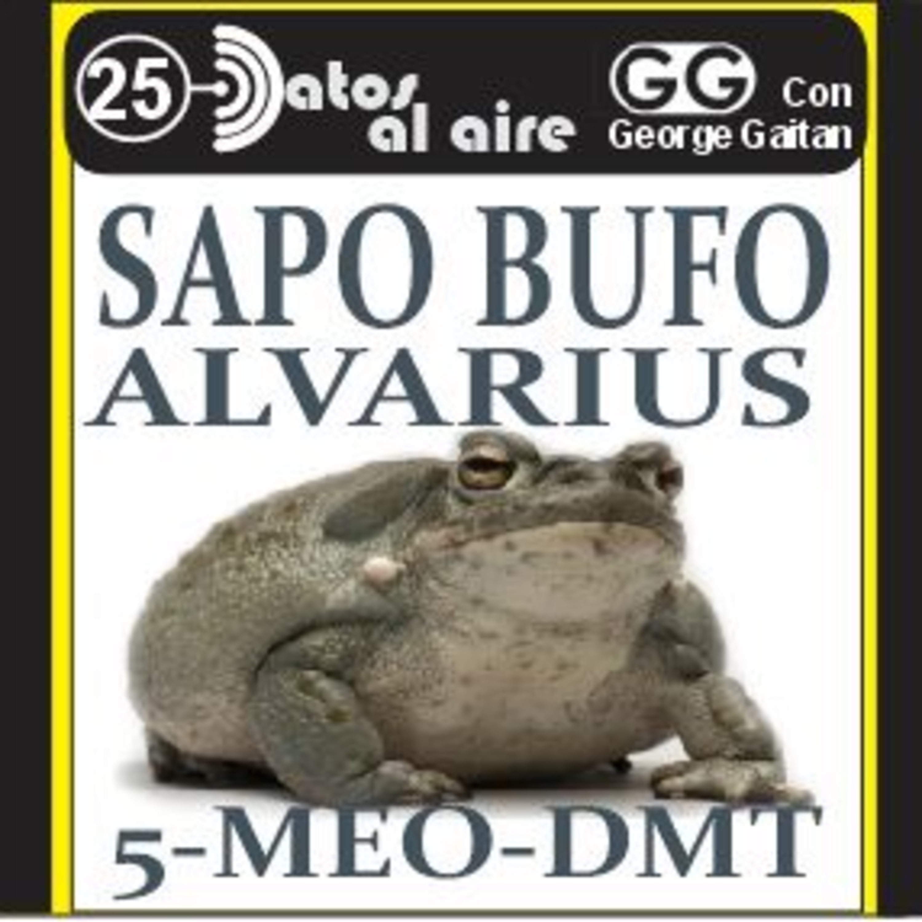EL SAPO BUFO ALVARIUS Y EL 5-MEO-DMT episode artwork
