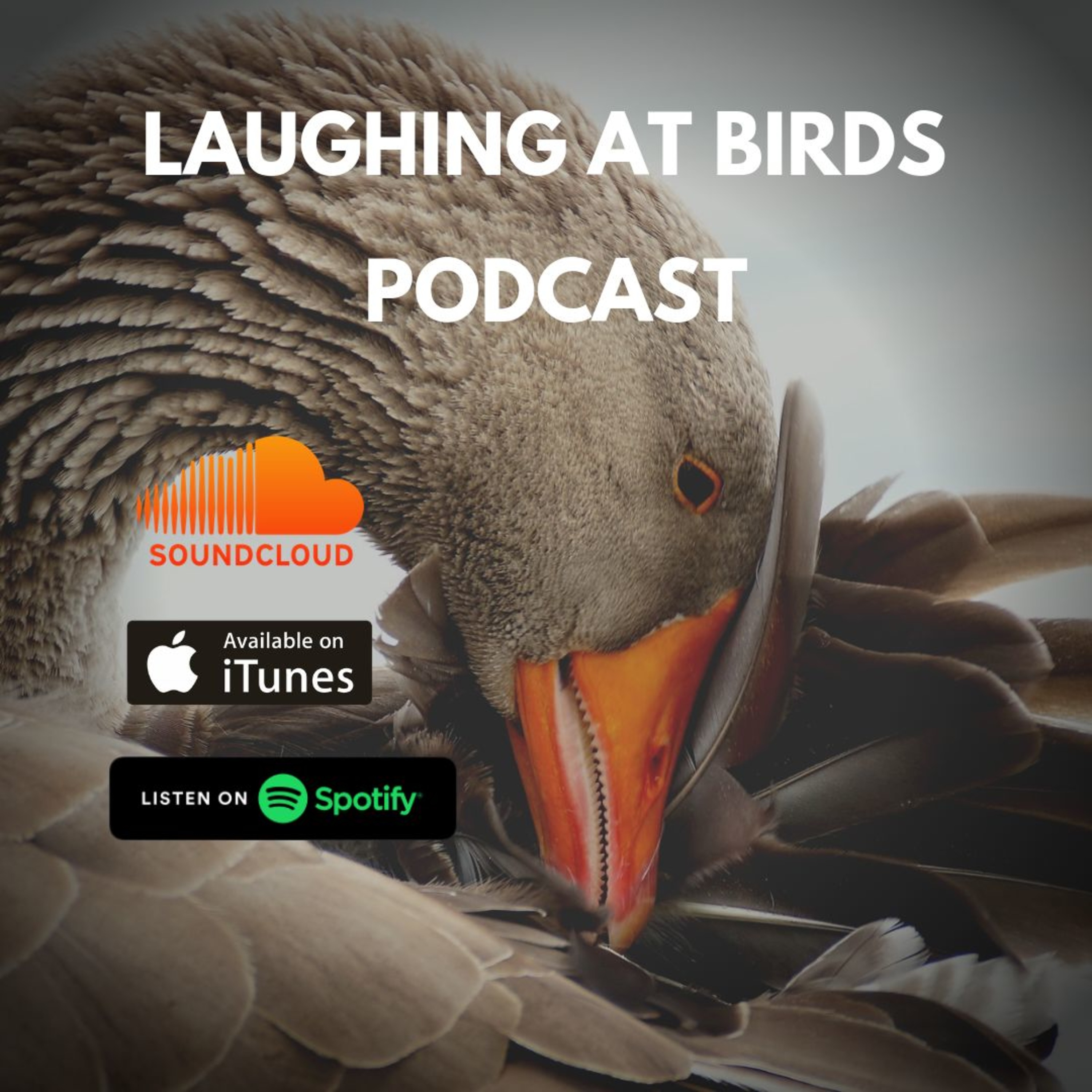 Laughing At Birds Episode 14 Food Phobias And Funny People episode artwork