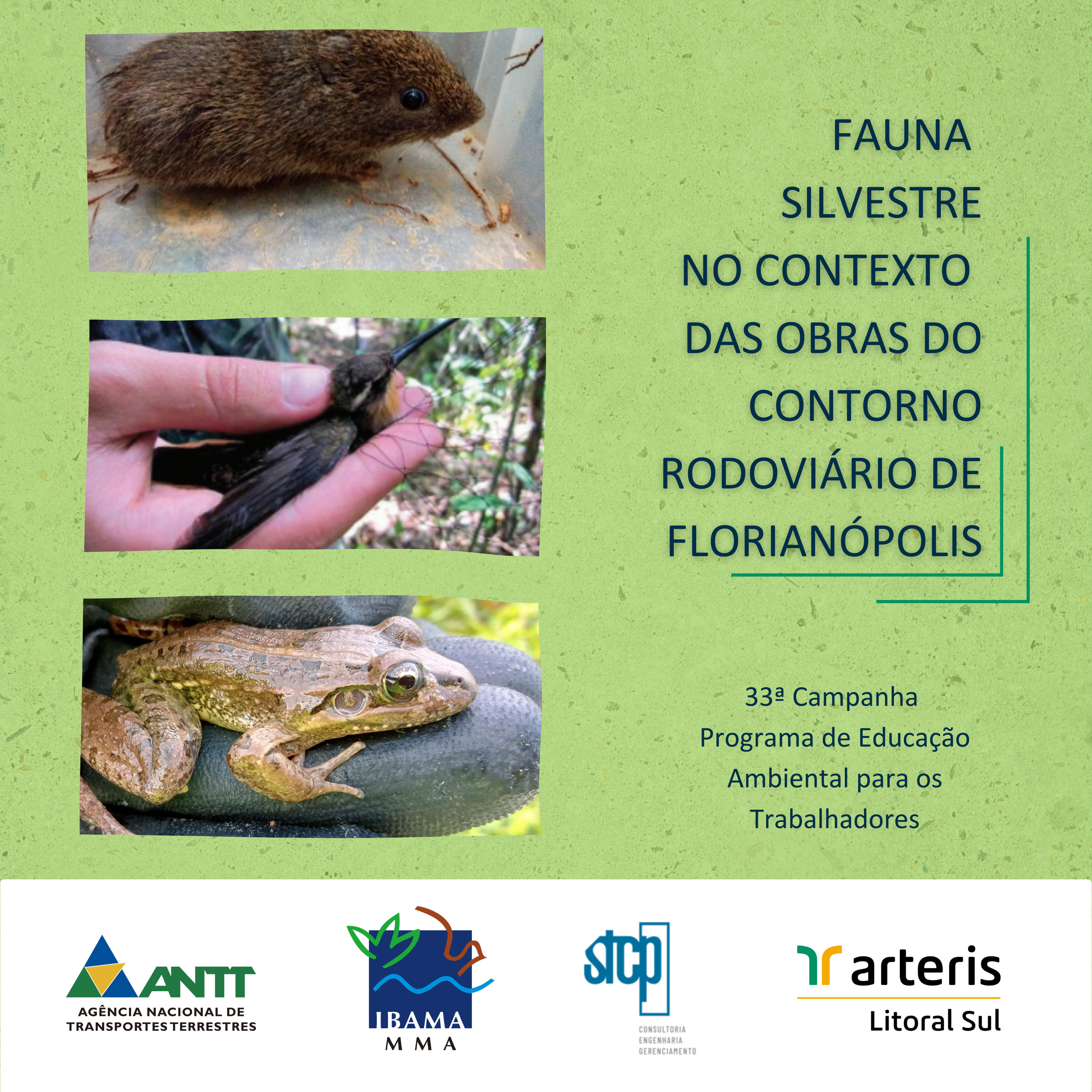 Minutos Ambientais