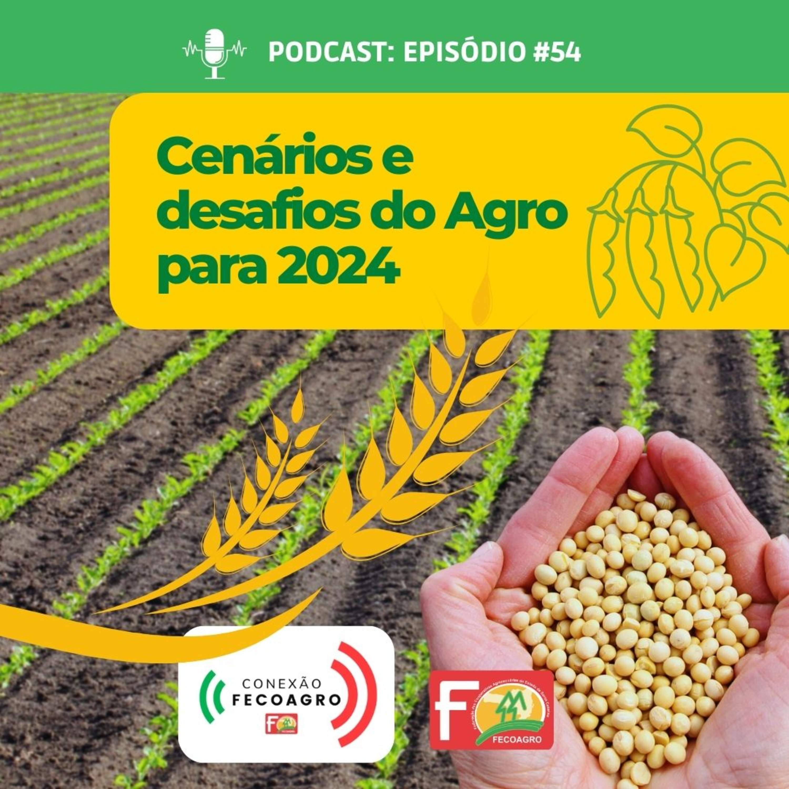 Conexão Fecoagro