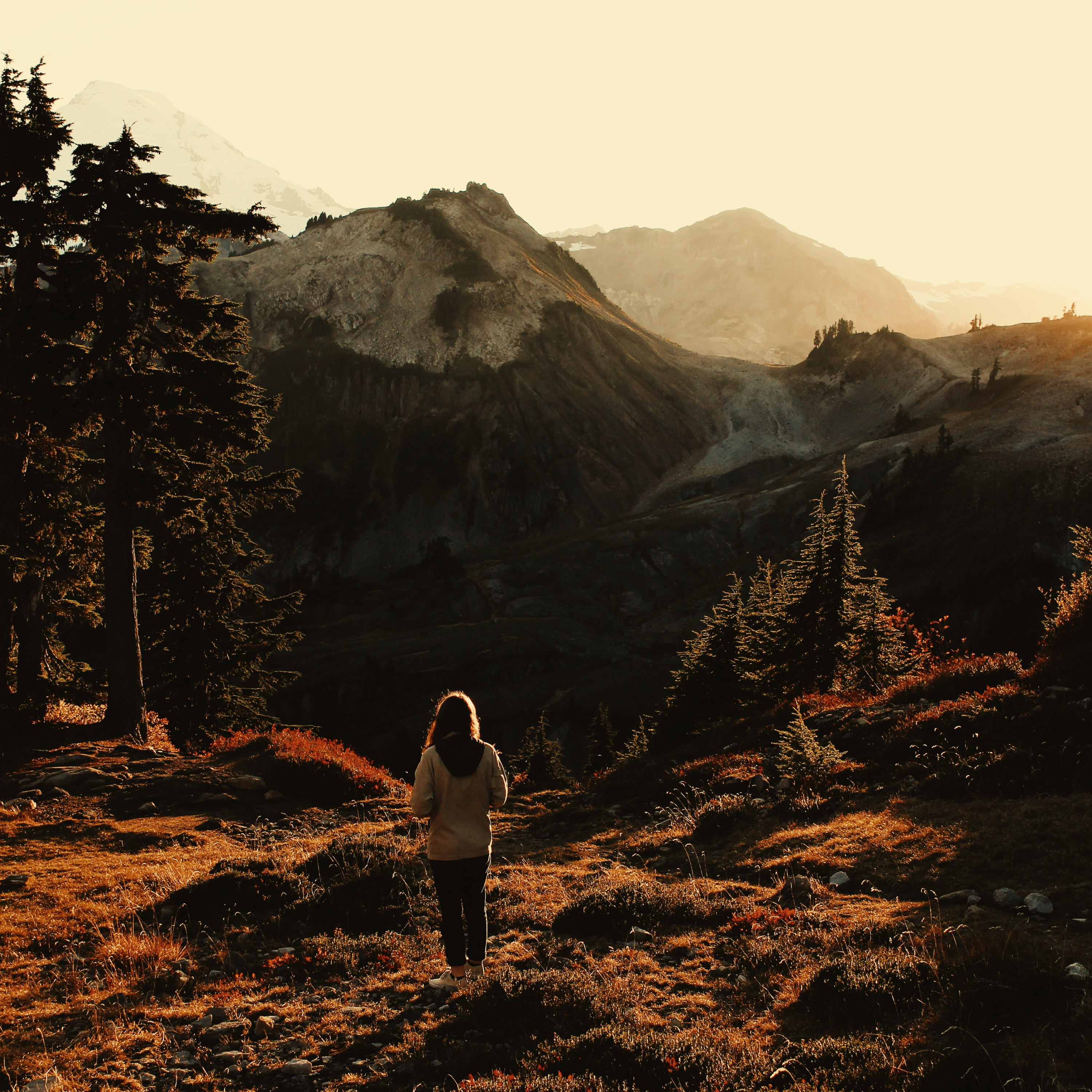 Journey from Thankfulness to Gratitude episode artwork