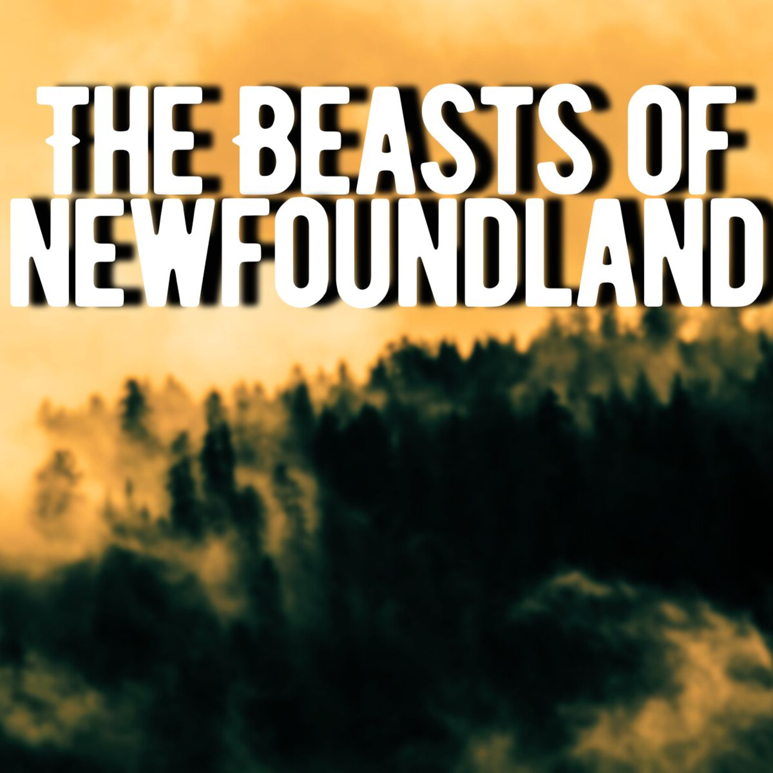 The Terrifying Legend of Newfoundland's Beast - Ghost Stories w/ Rain & Thunder Sounds episode artwork