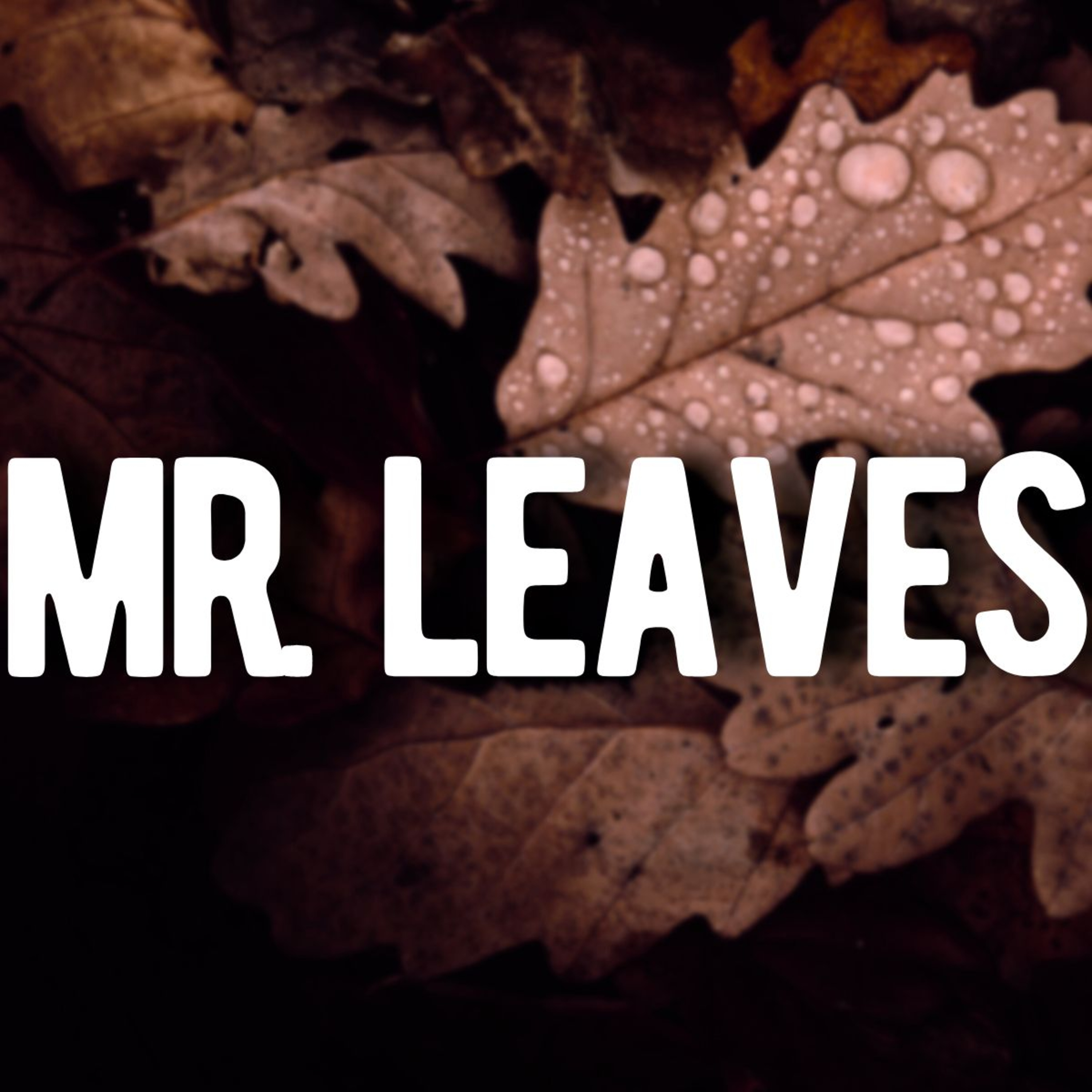 The Disturbing Legend of Mr. Leaves... - Ghost Stories w/ Rain & Thunder Sounds episode artwork