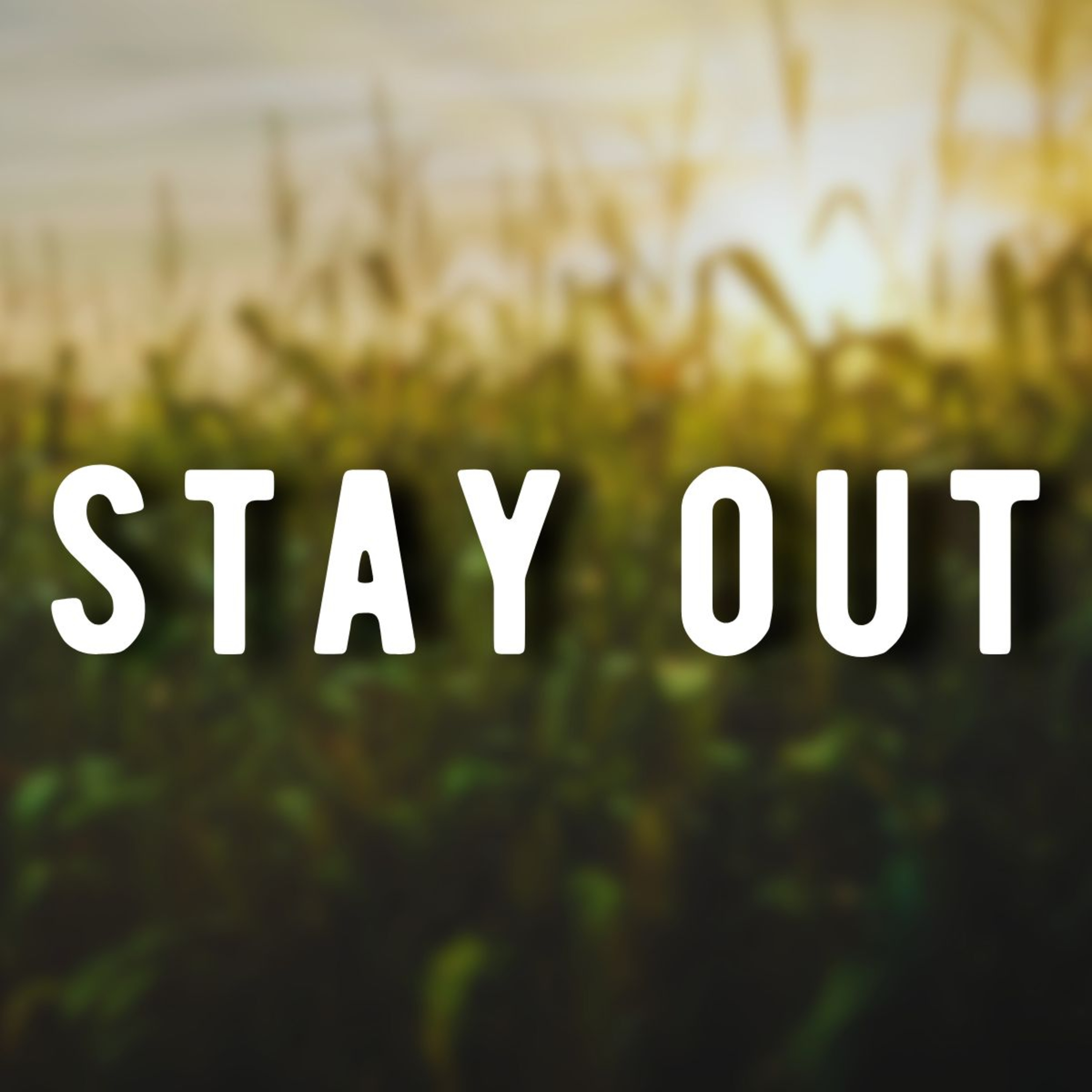Don't Go Into the Corm Maze This Year... - Halloween Horror Stories w/ Rain & Thunder Sounds