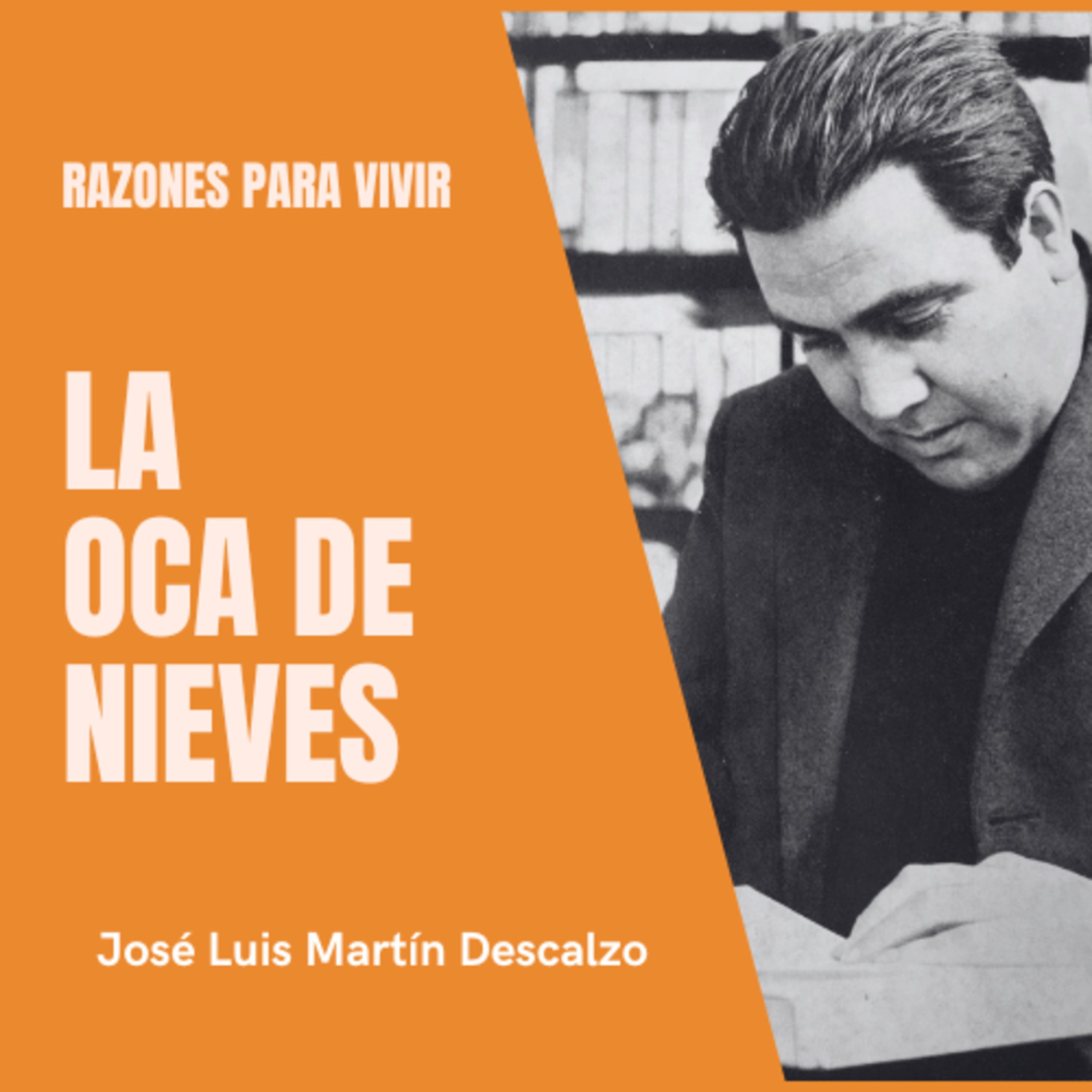 04.11. Razones para Vivir - La oca de Nieves.