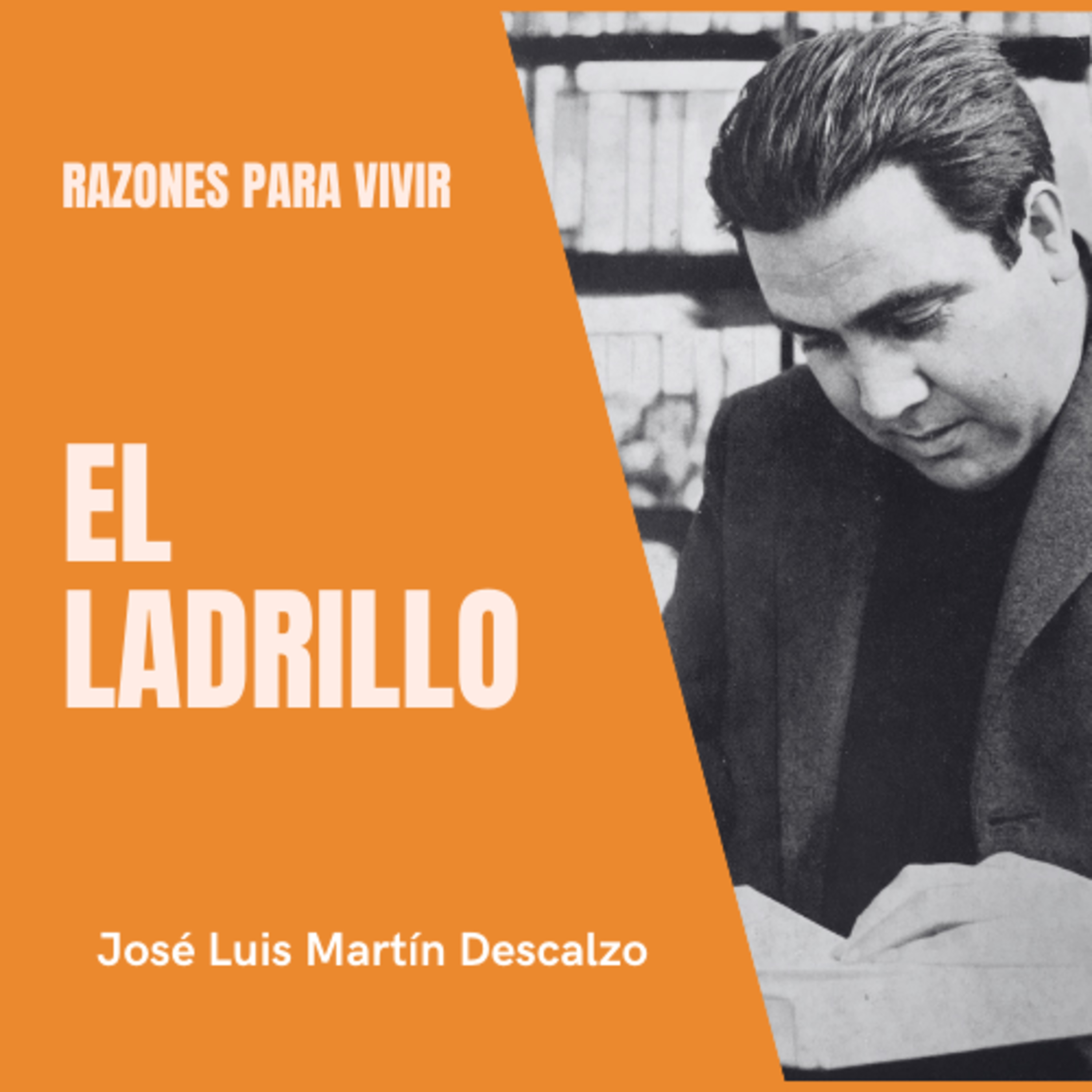 04.17. Razones para Vivir - El ladrillo.