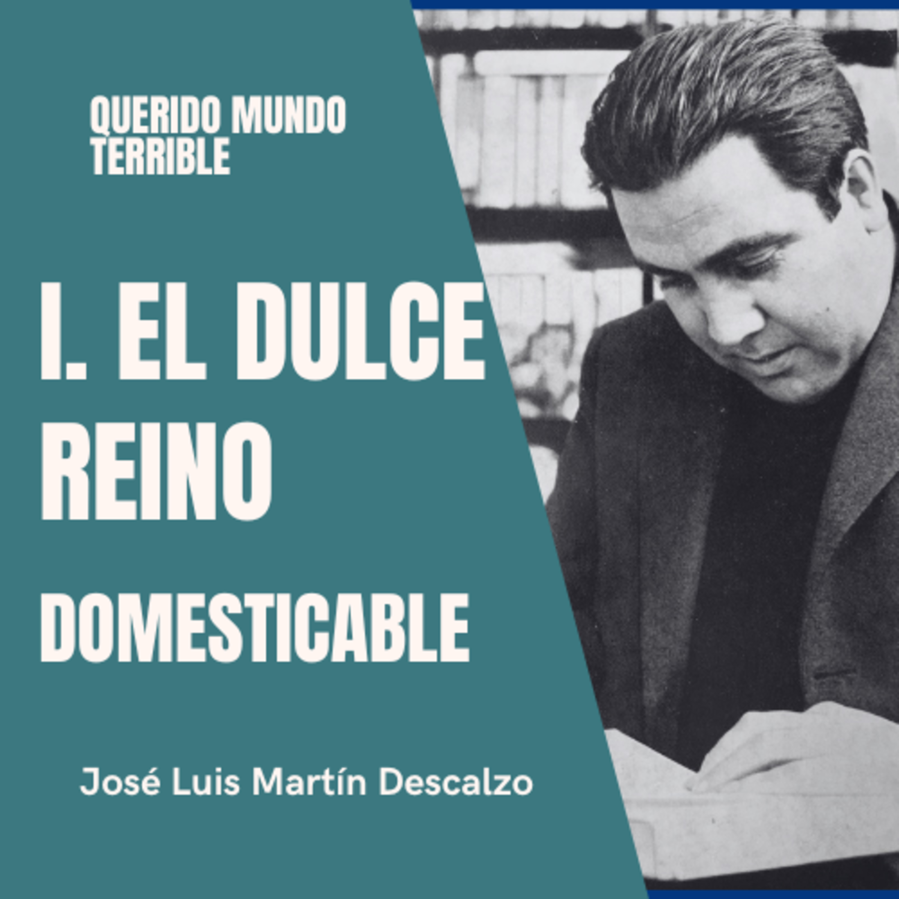 1.13. Querido Mundo Terrible - El Dulce Reino - Domesticable.