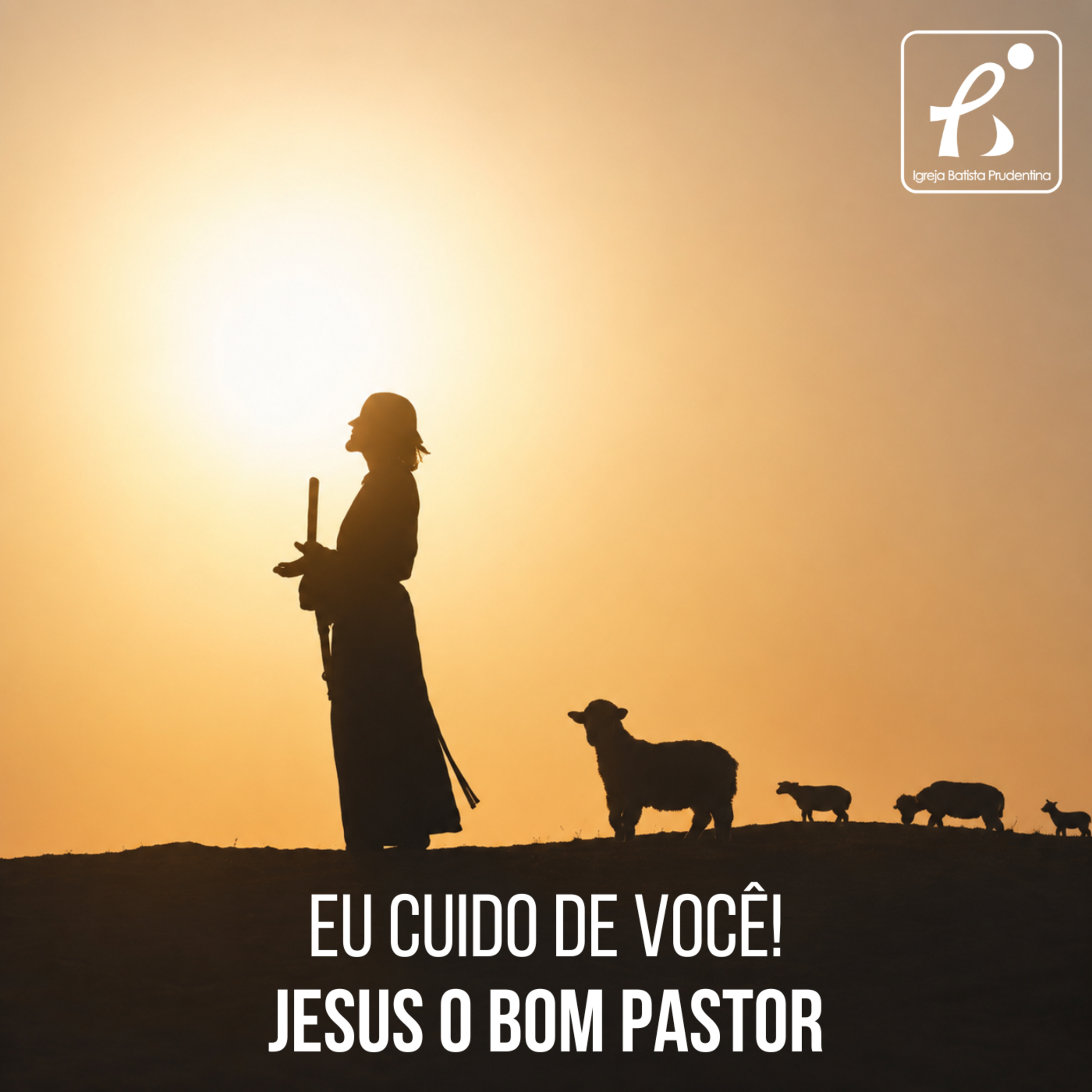 Eu Cuido de Você! Jesus o Bom Pastor - Pr. Renato Mendonça 14mai2026 episode artwork