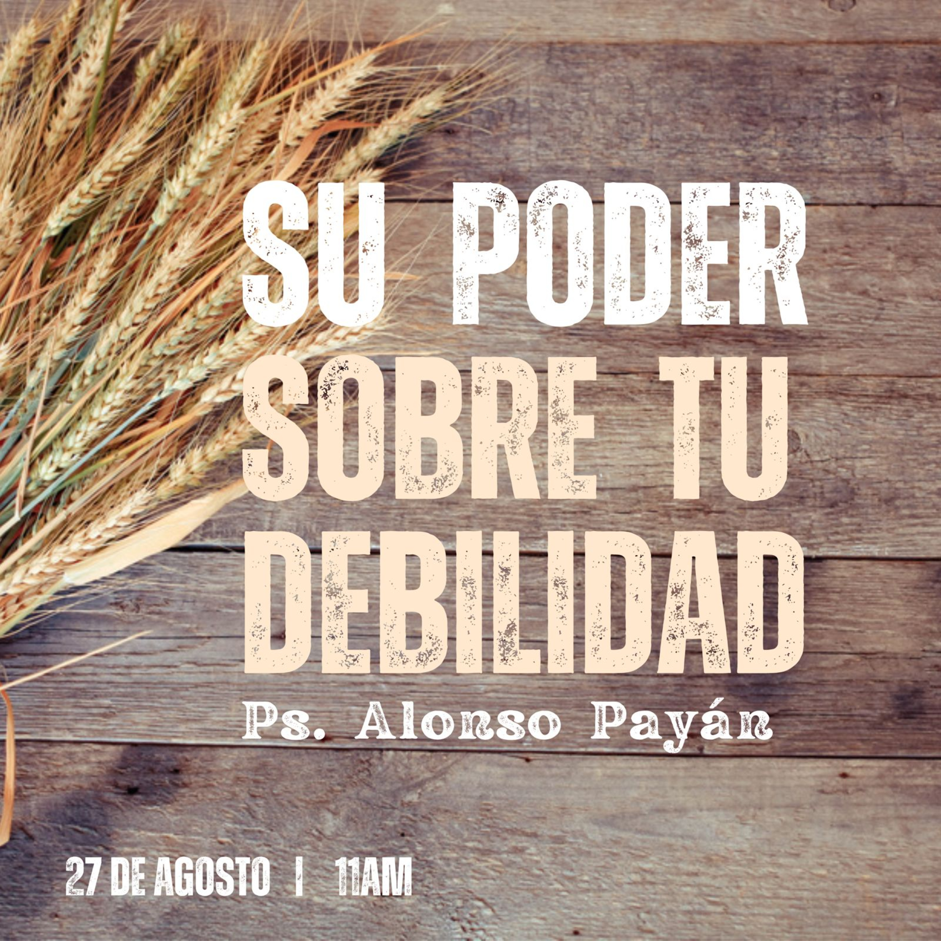 Iglesia Cristiana Gracia sin Fin