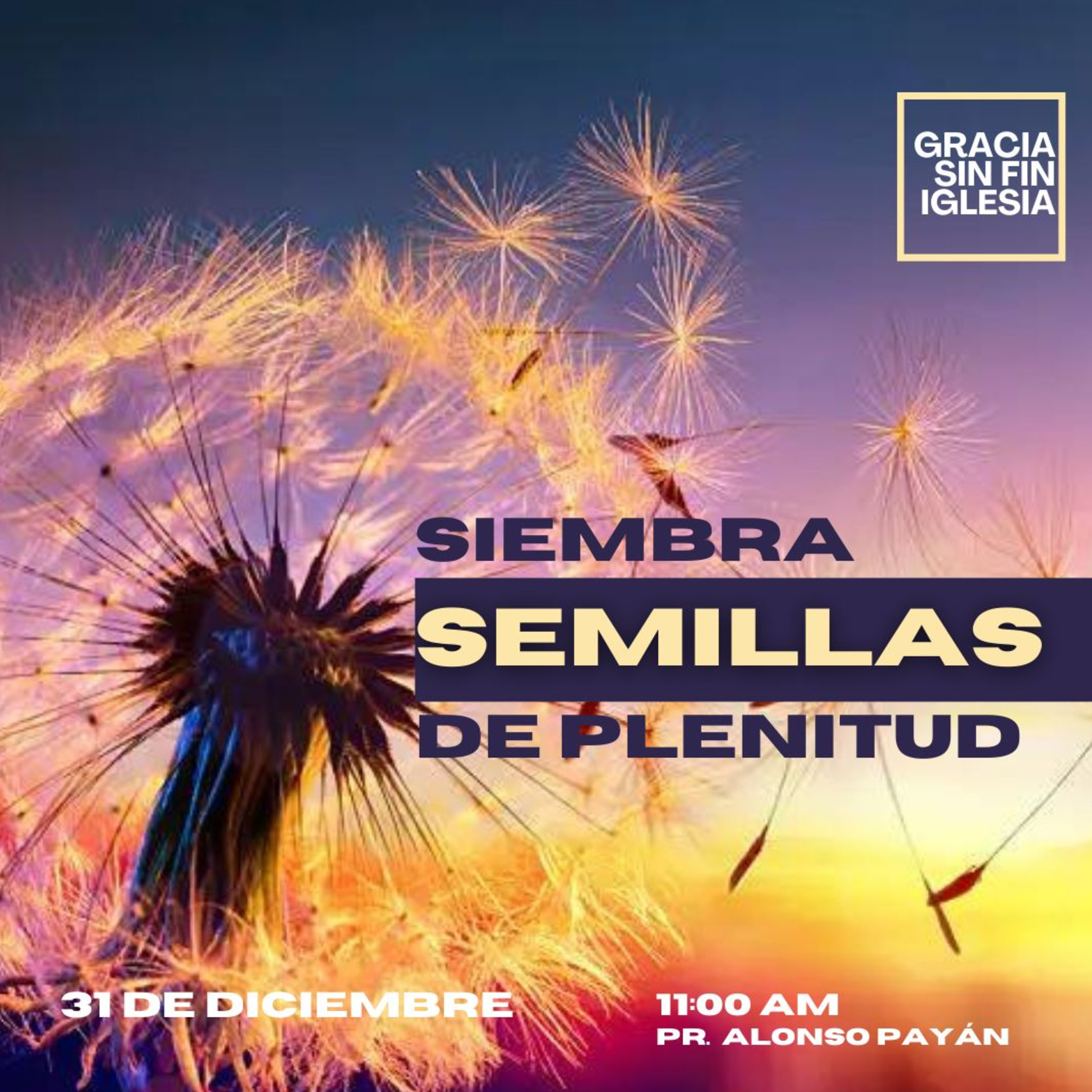 Iglesia Cristiana Gracia sin Fin