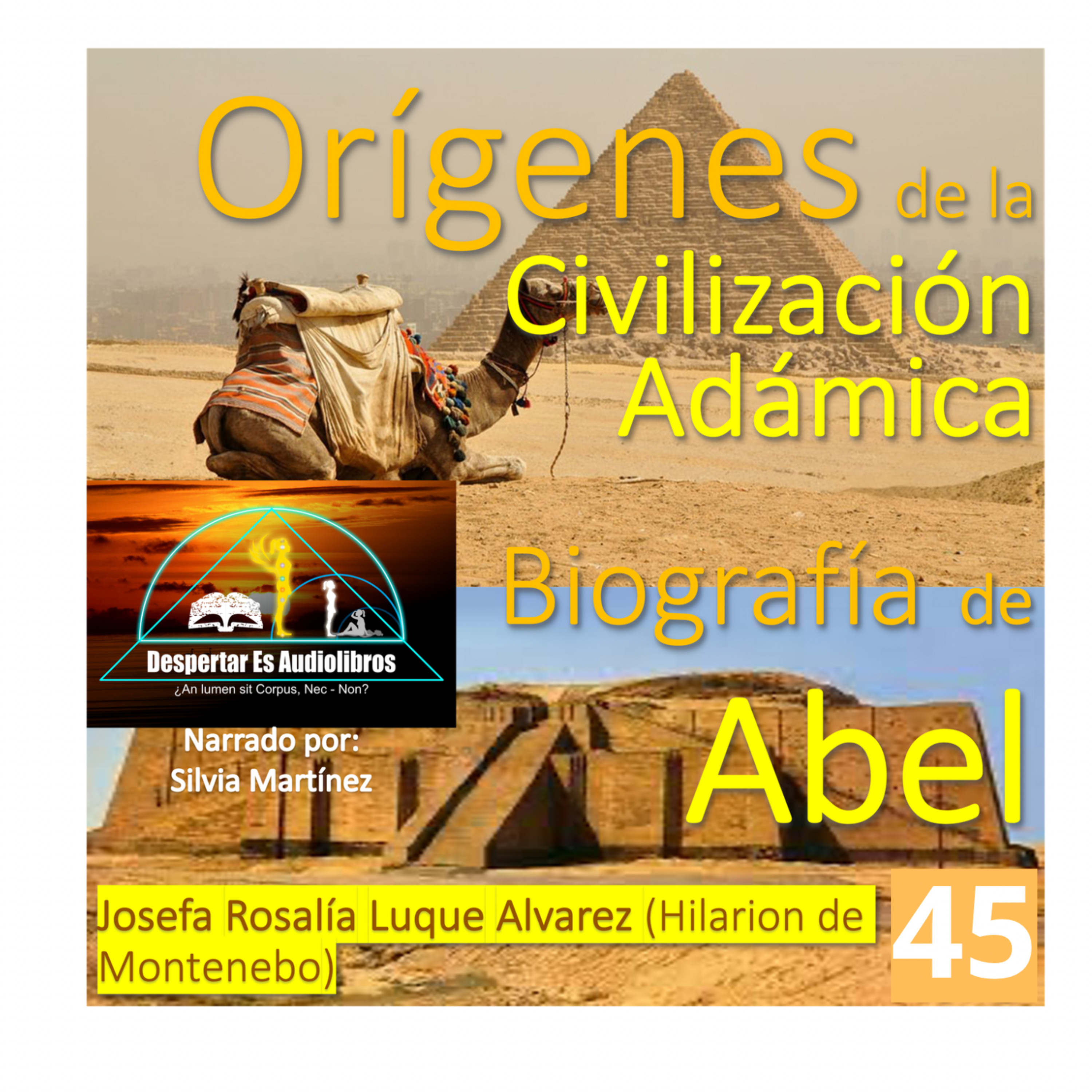 Despertar Es Audiolibros