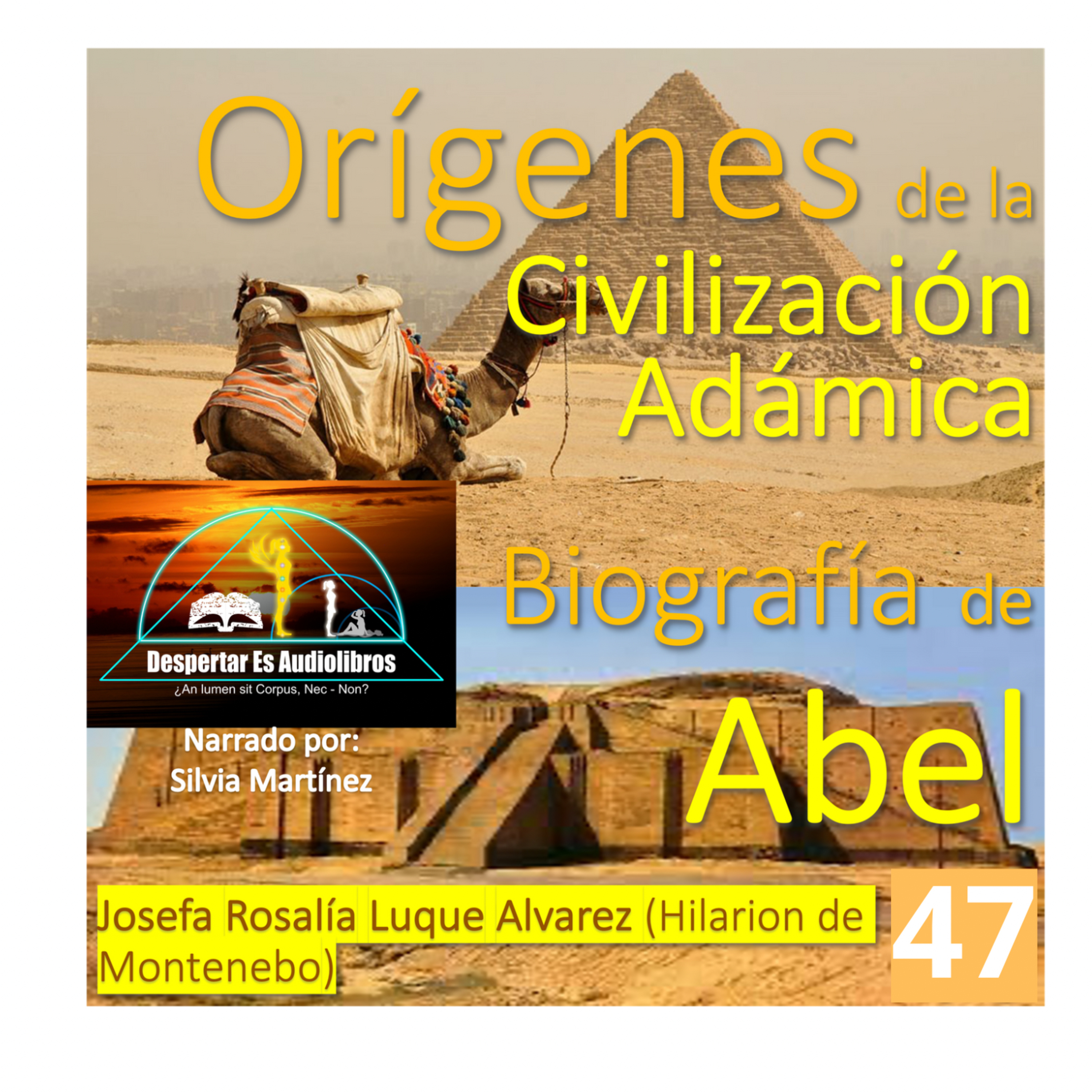 Despertar Es Audiolibros