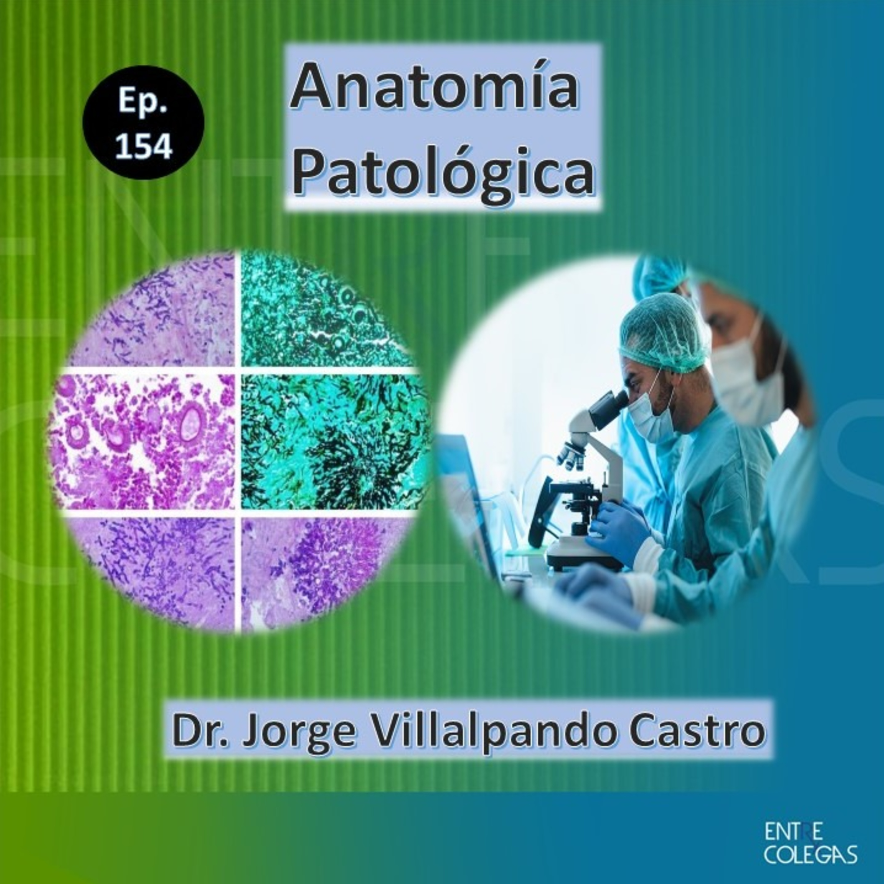 E154- Anatomía Patológica ¿qué es y qué hacen?