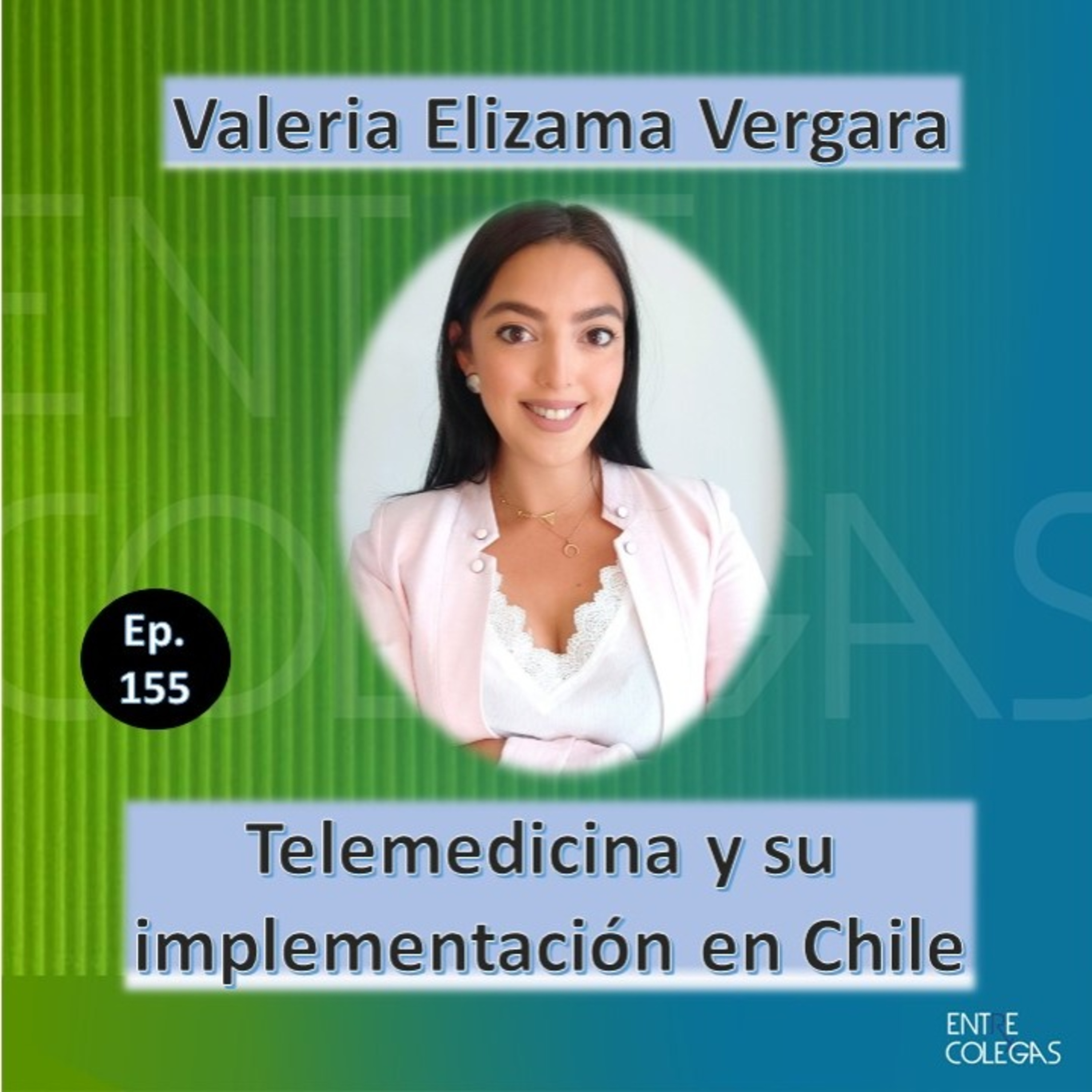 E155- Telemedicina y su implementación en Chile
