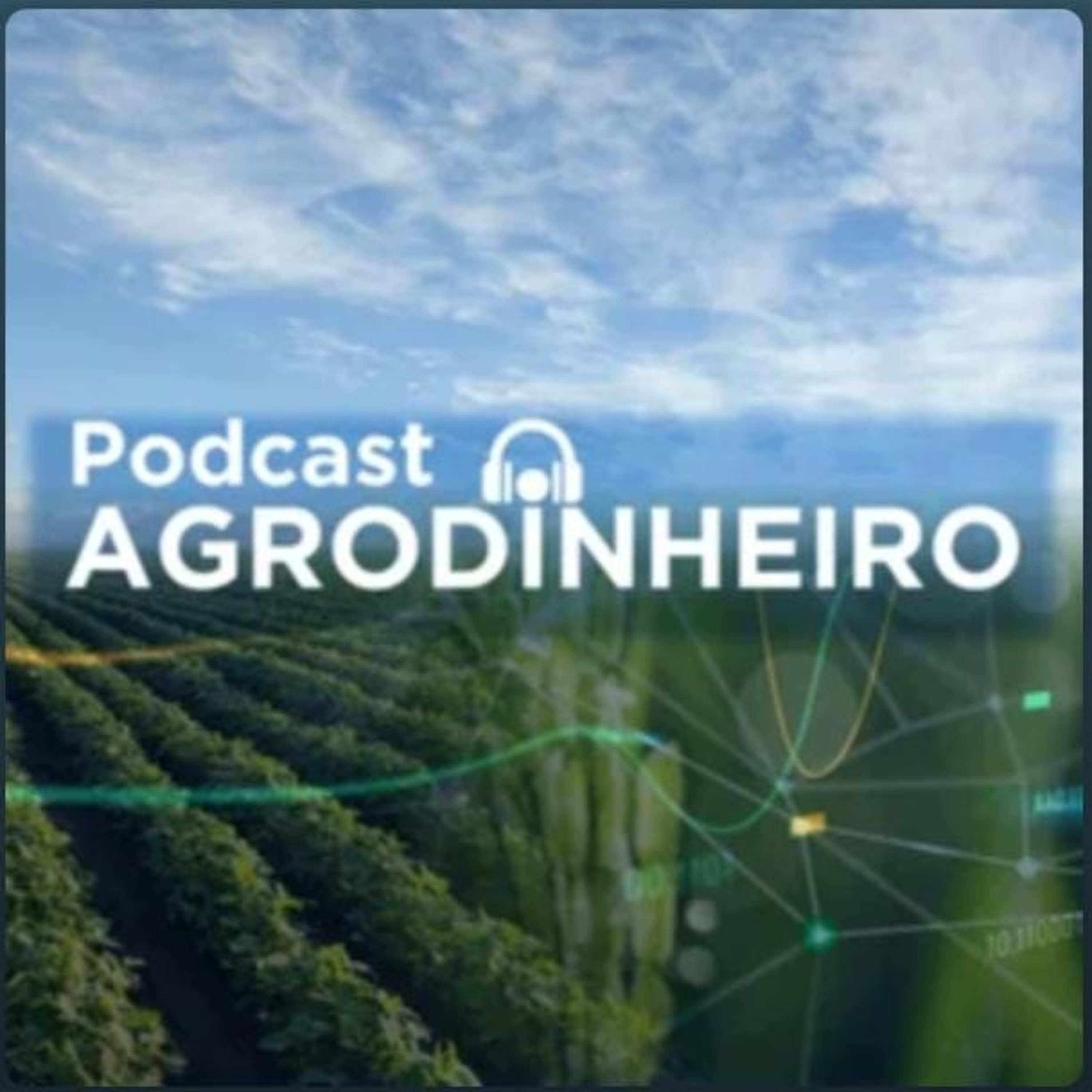 #521 AgroDinheiro: Comercialização de soja frente a dólar e prêmios episode artwork